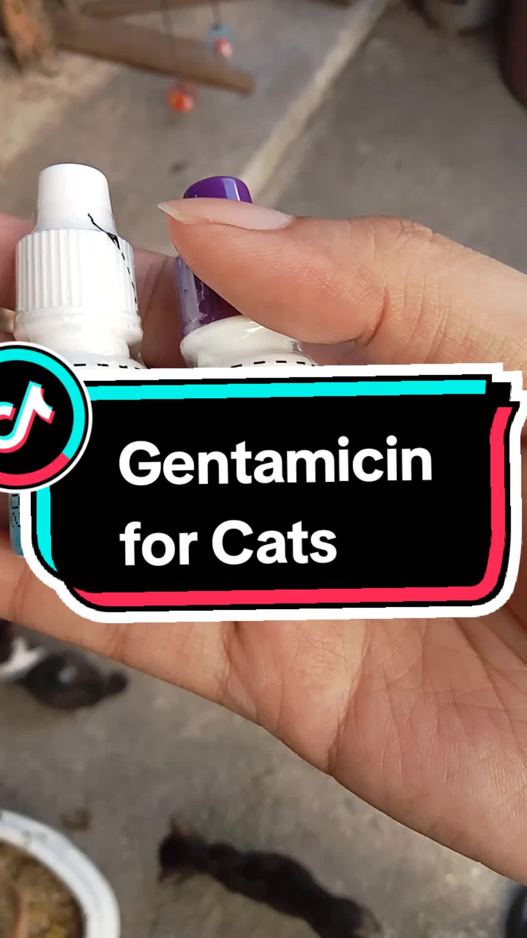 @chubby.oink.oink