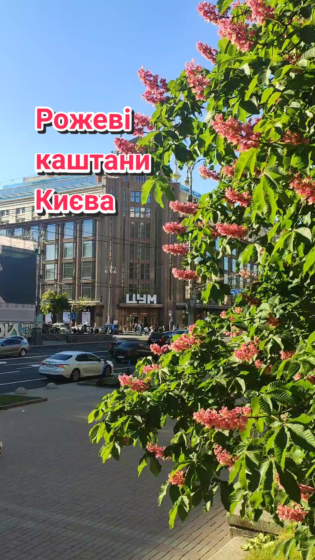 @Євгенія Грищенко 220