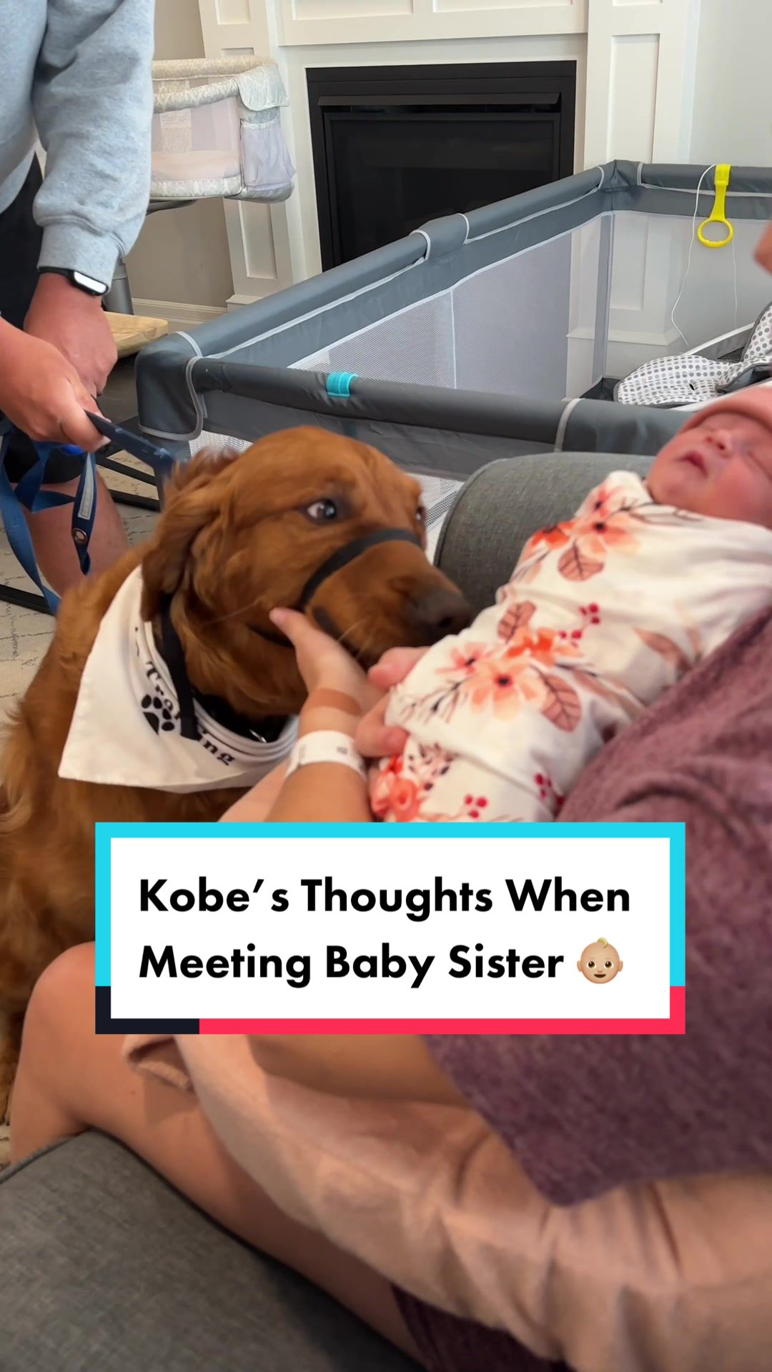 @Air Bud Kobe 🇨🇦