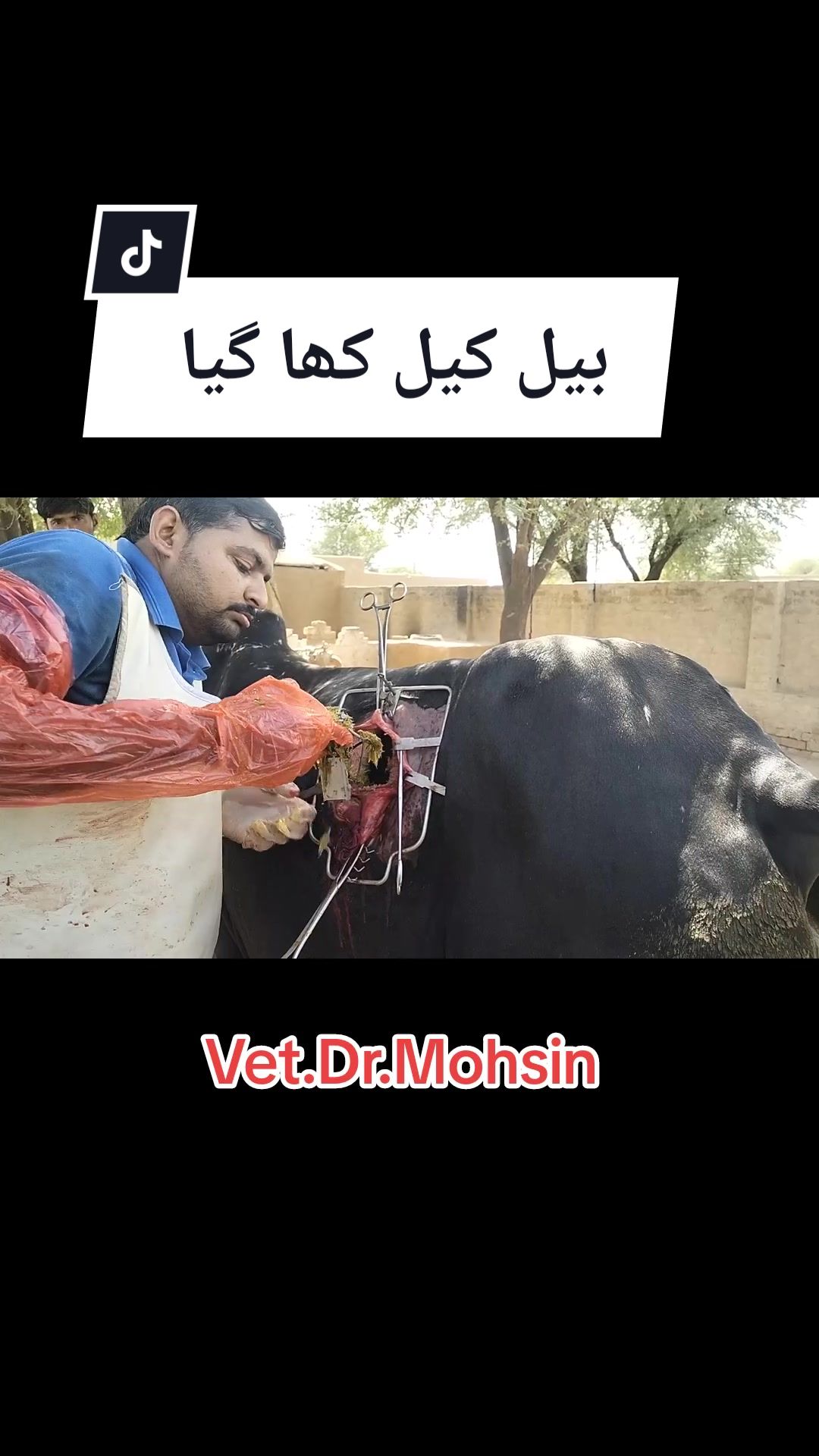 @Dr.Mohsin