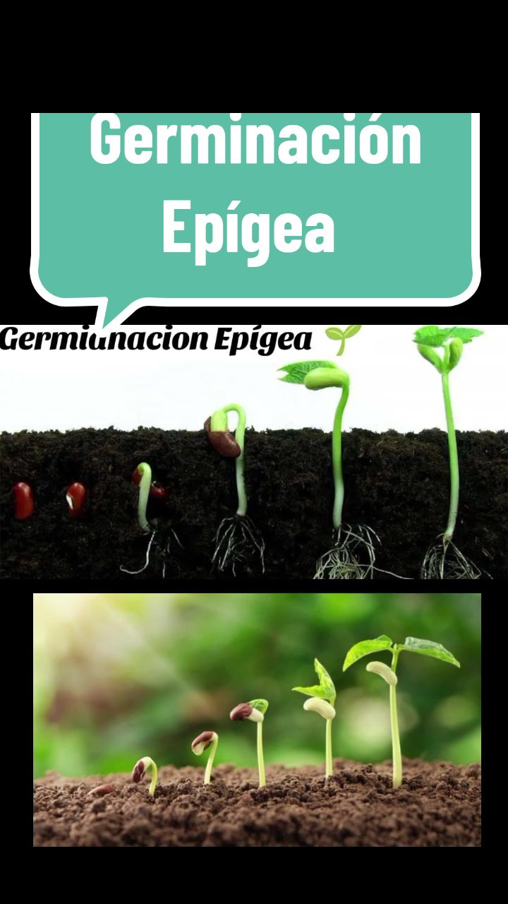 @AG2