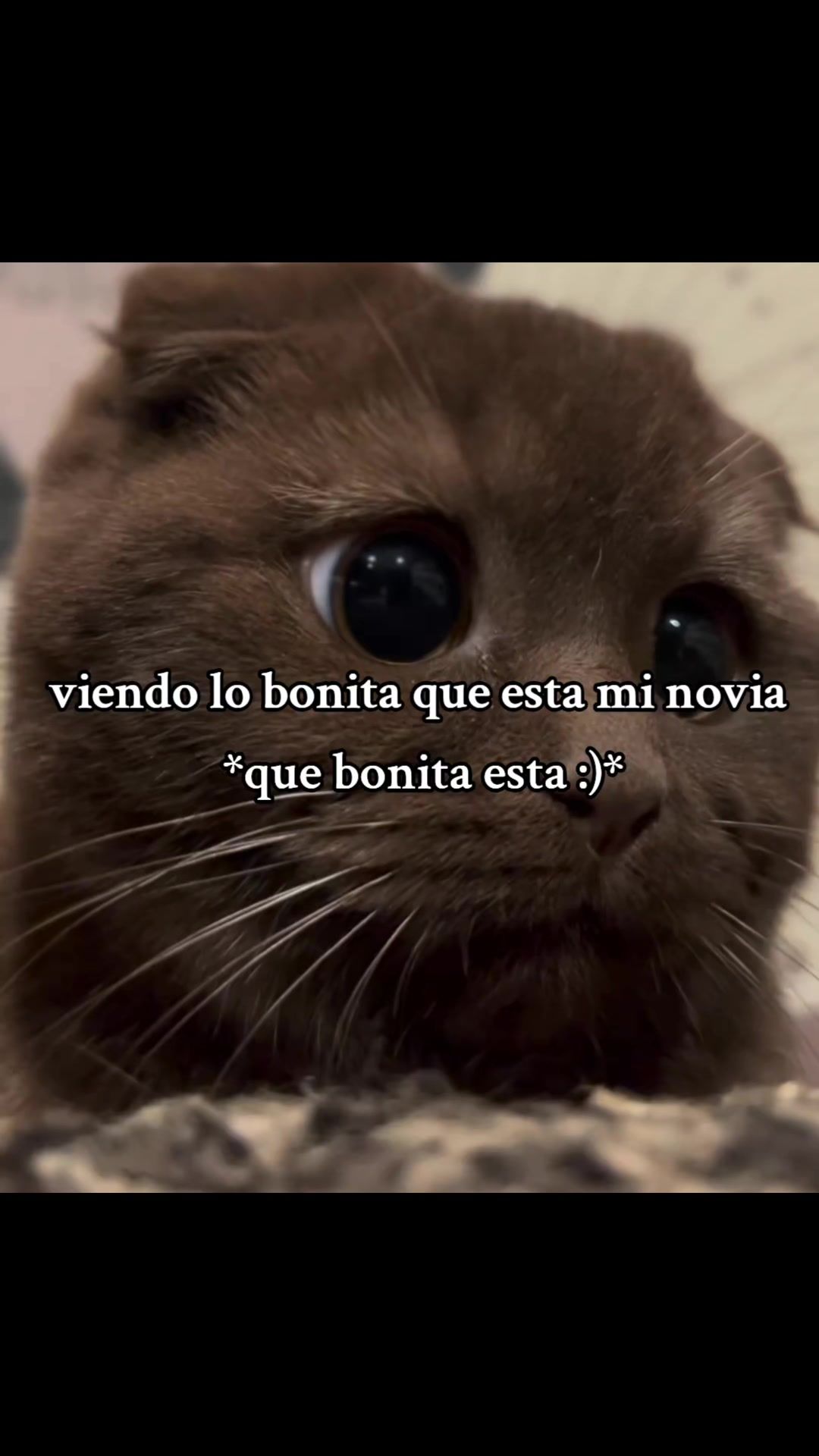 @crissparker