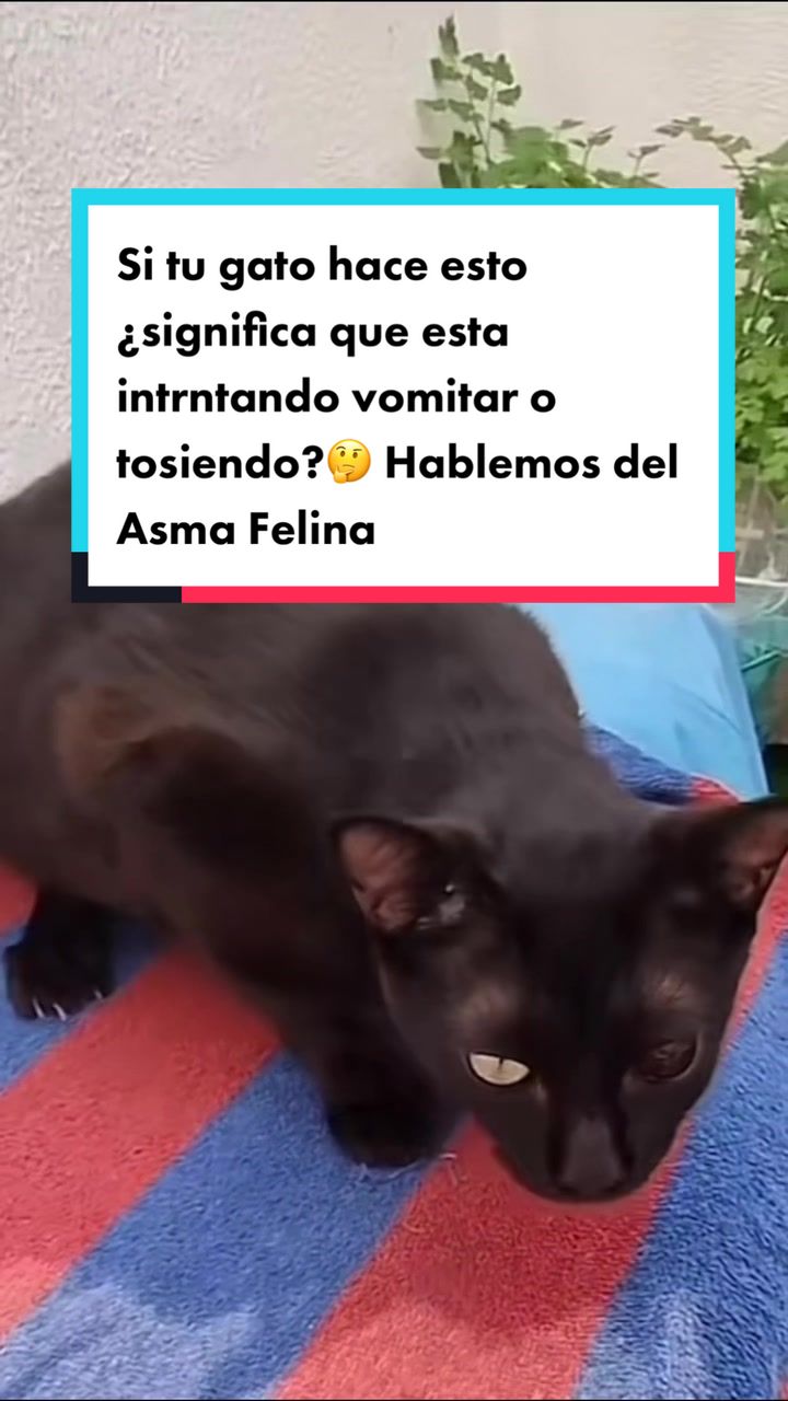 @Mariana Parra