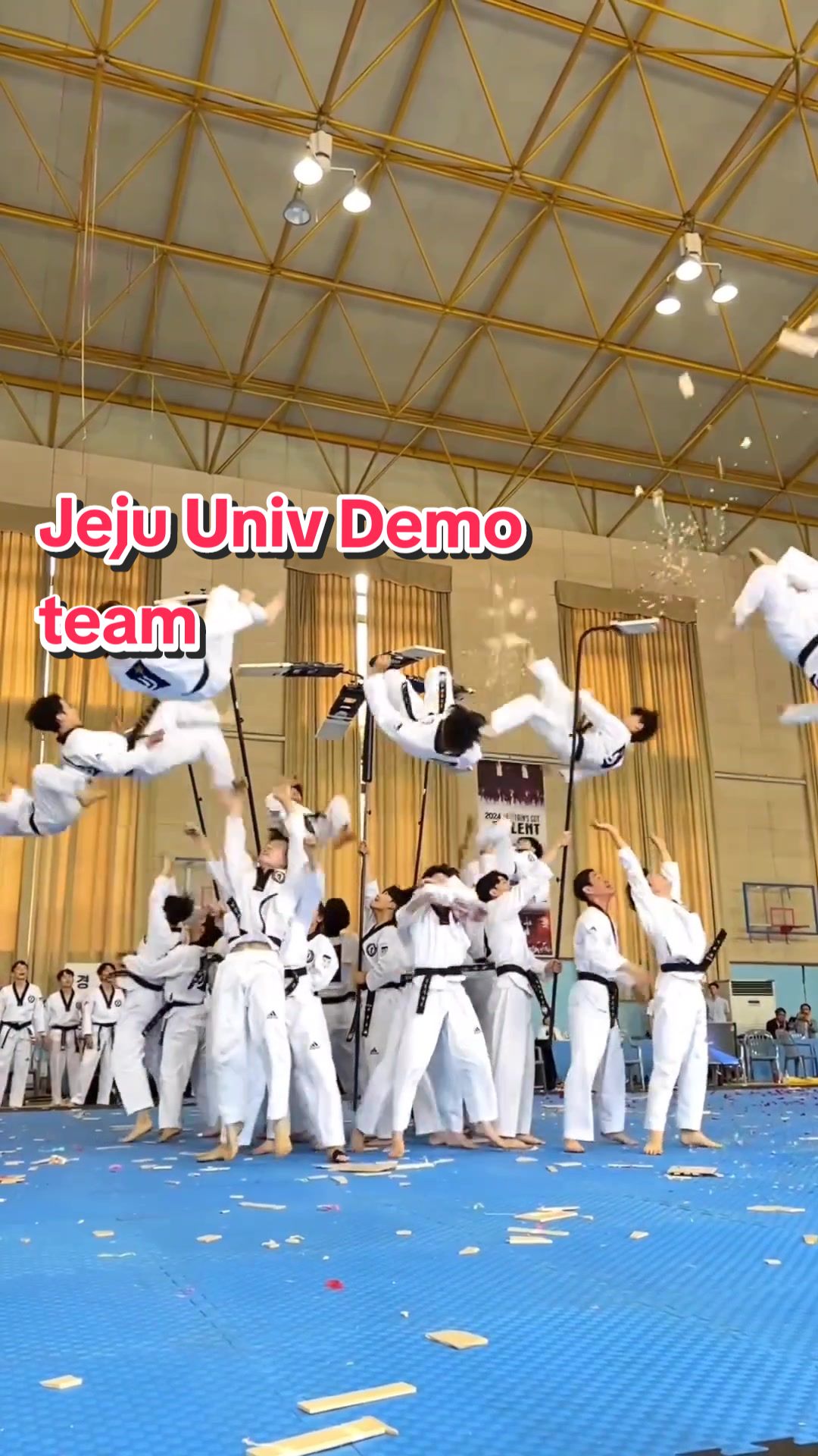 @Taekwondo Content Creator
