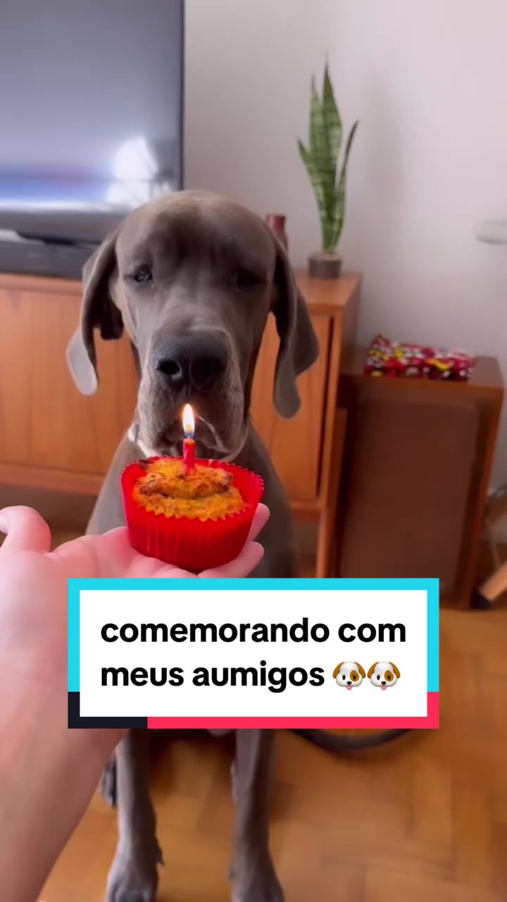 @madonna_grandona