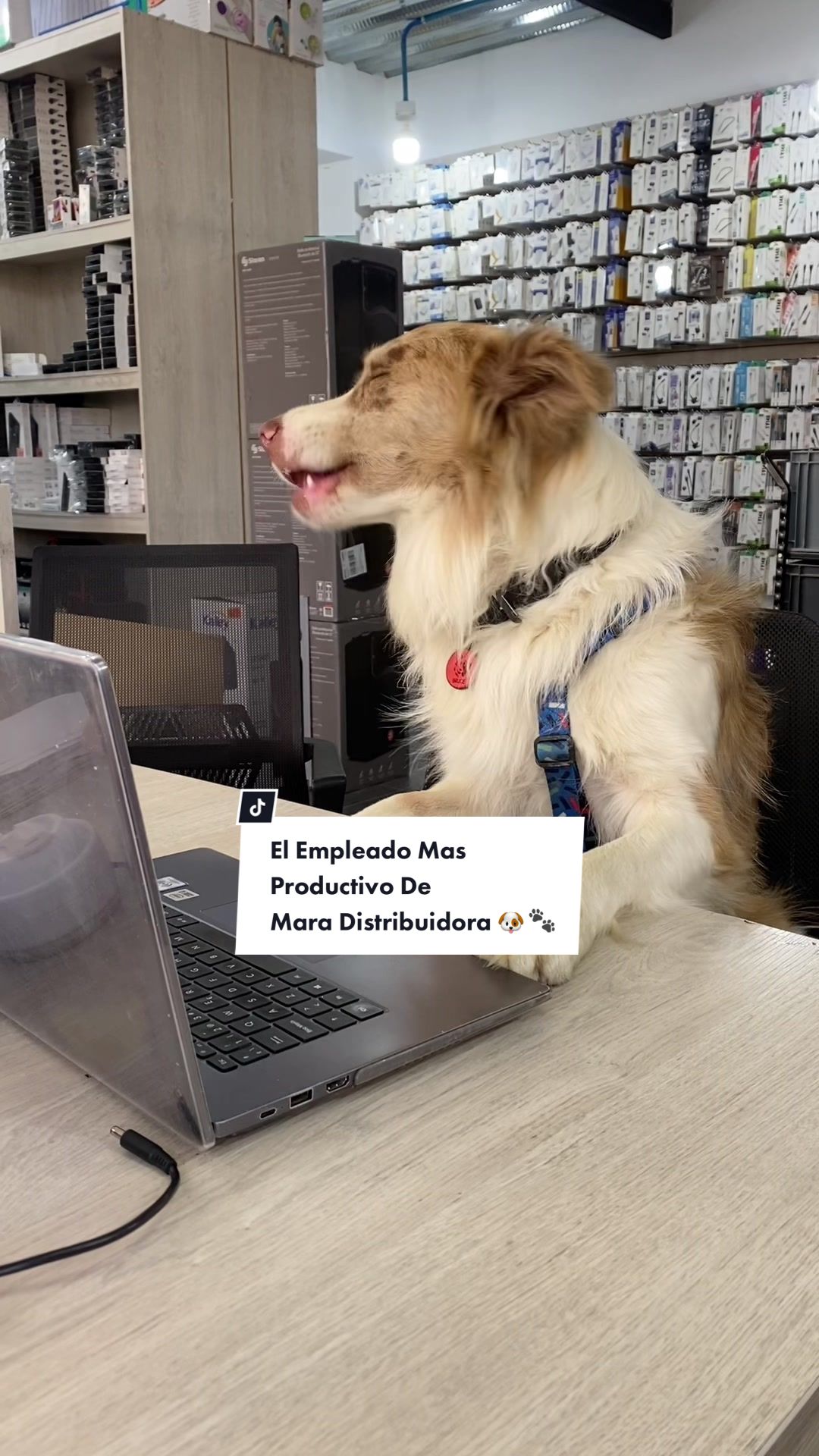 @Mara Distribuidora