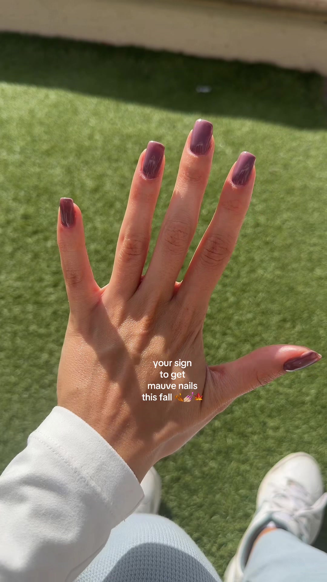 @alexa ♡