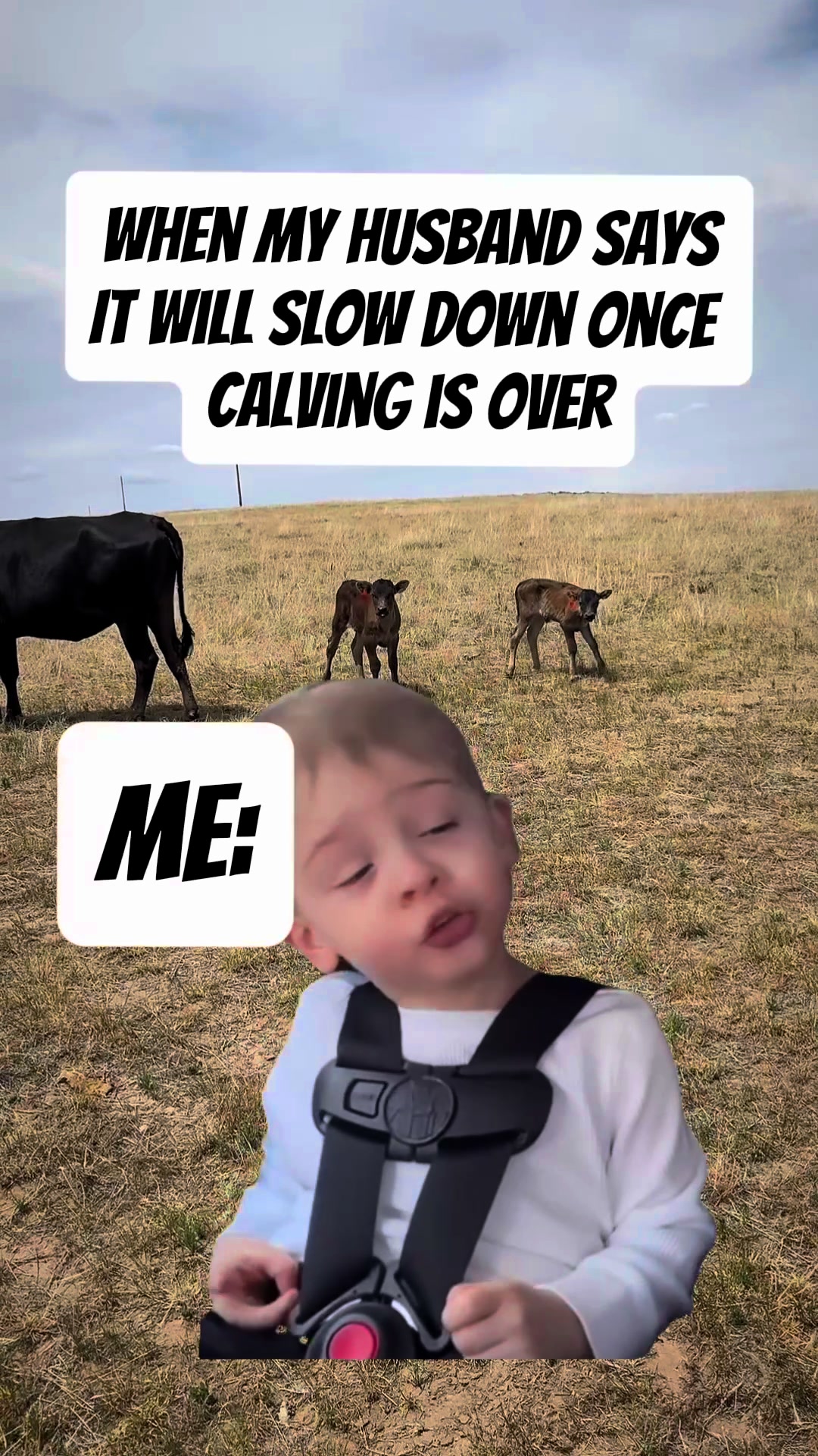 @American Rancher 🤠🇺🇸🥩