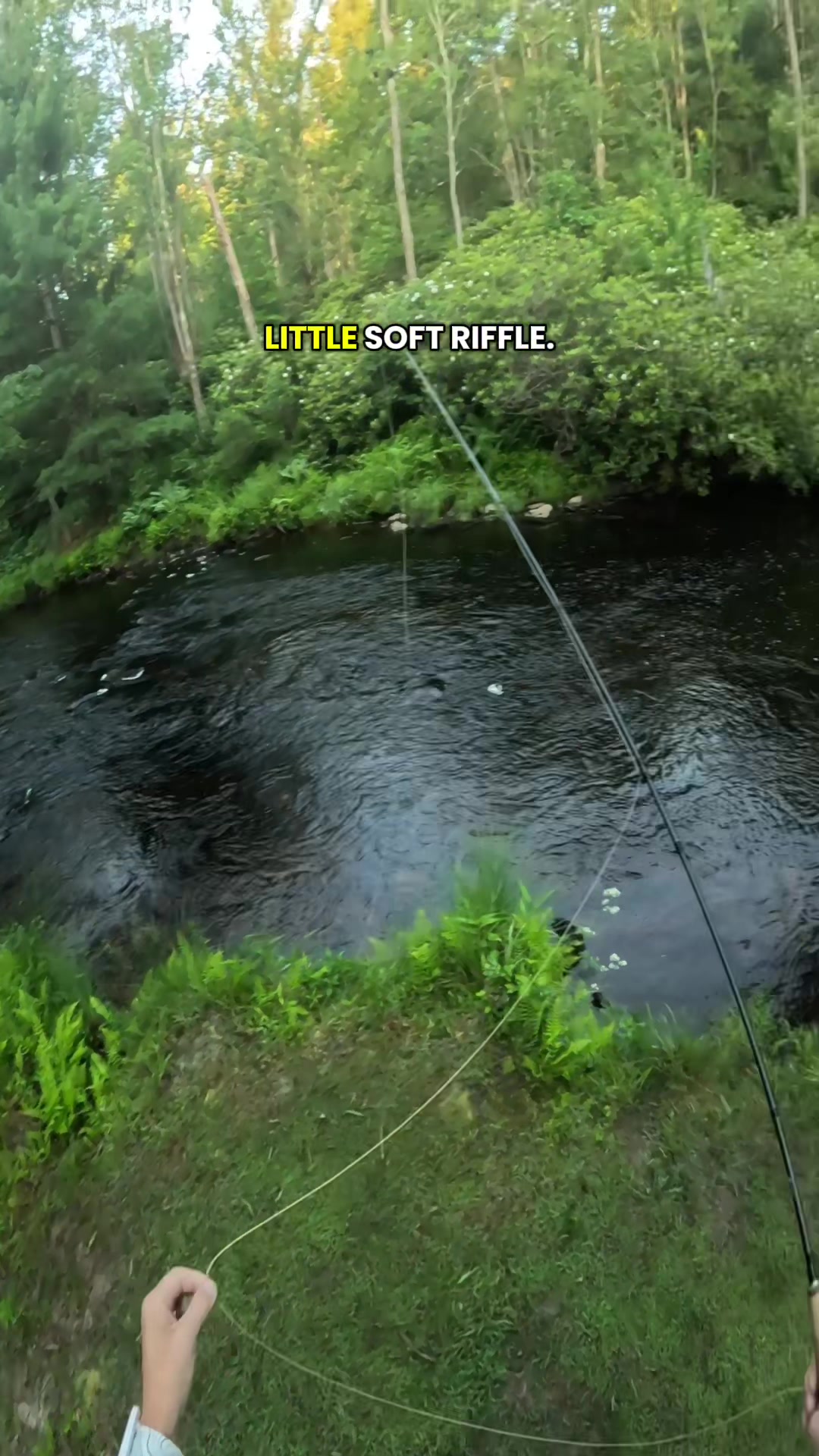 @FlyFishDelawhere