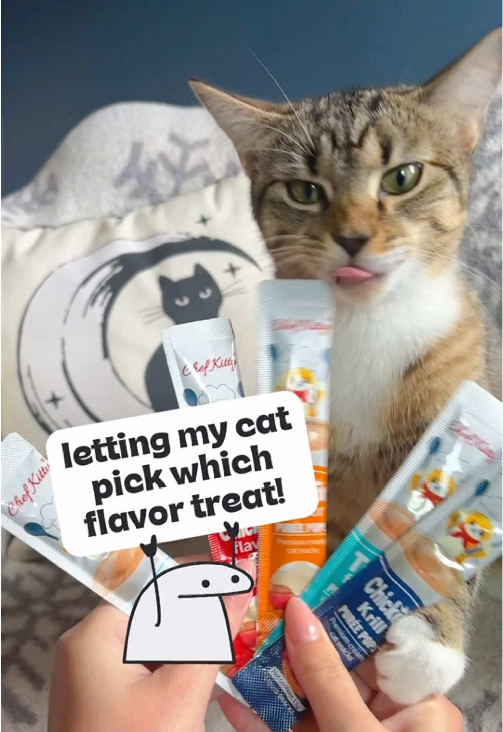 @Juno 💫🐈