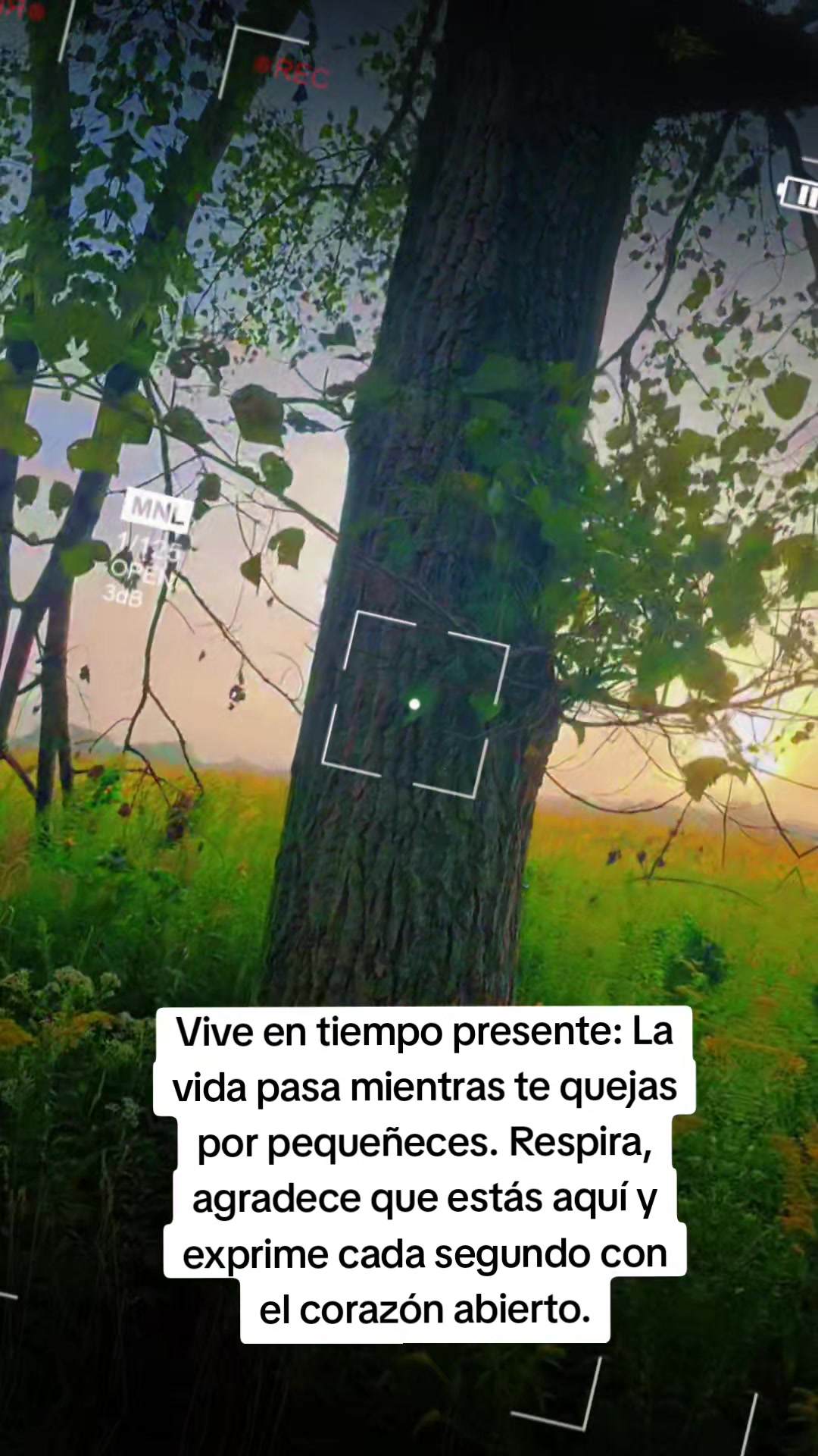 @Bere86🌹