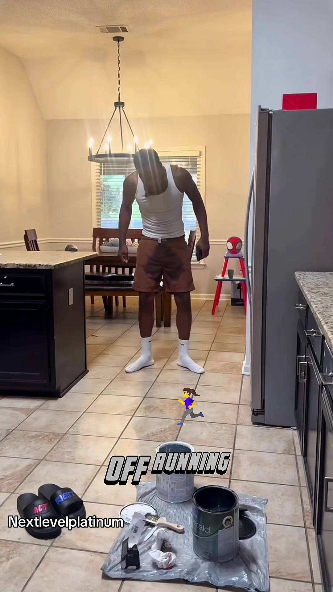 @nextlevelplatinum360.com