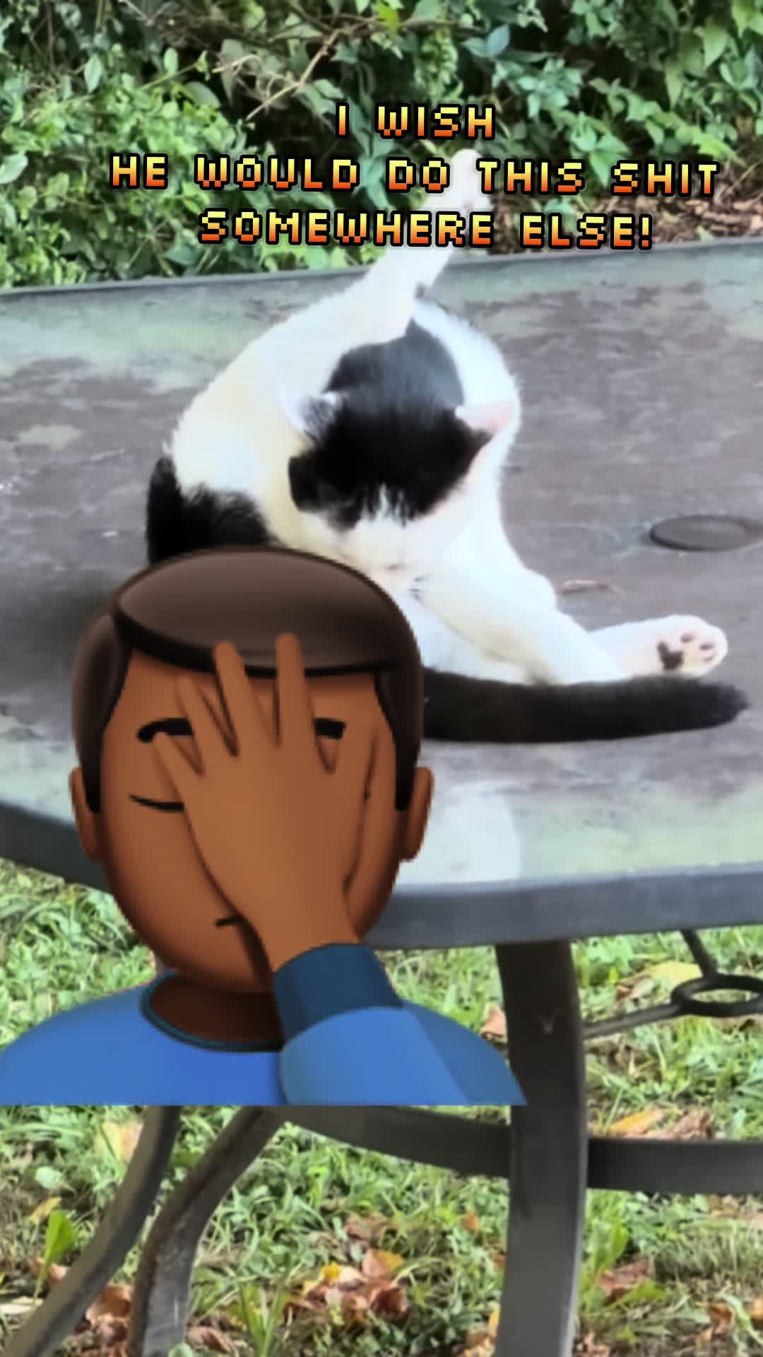 @Marvin 313