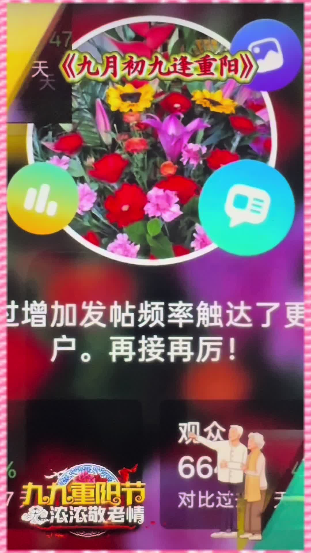 @leolin91912