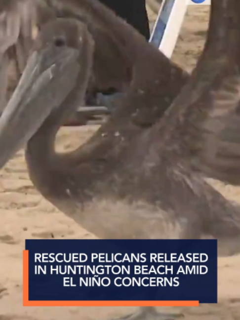 @KTLA 5 News