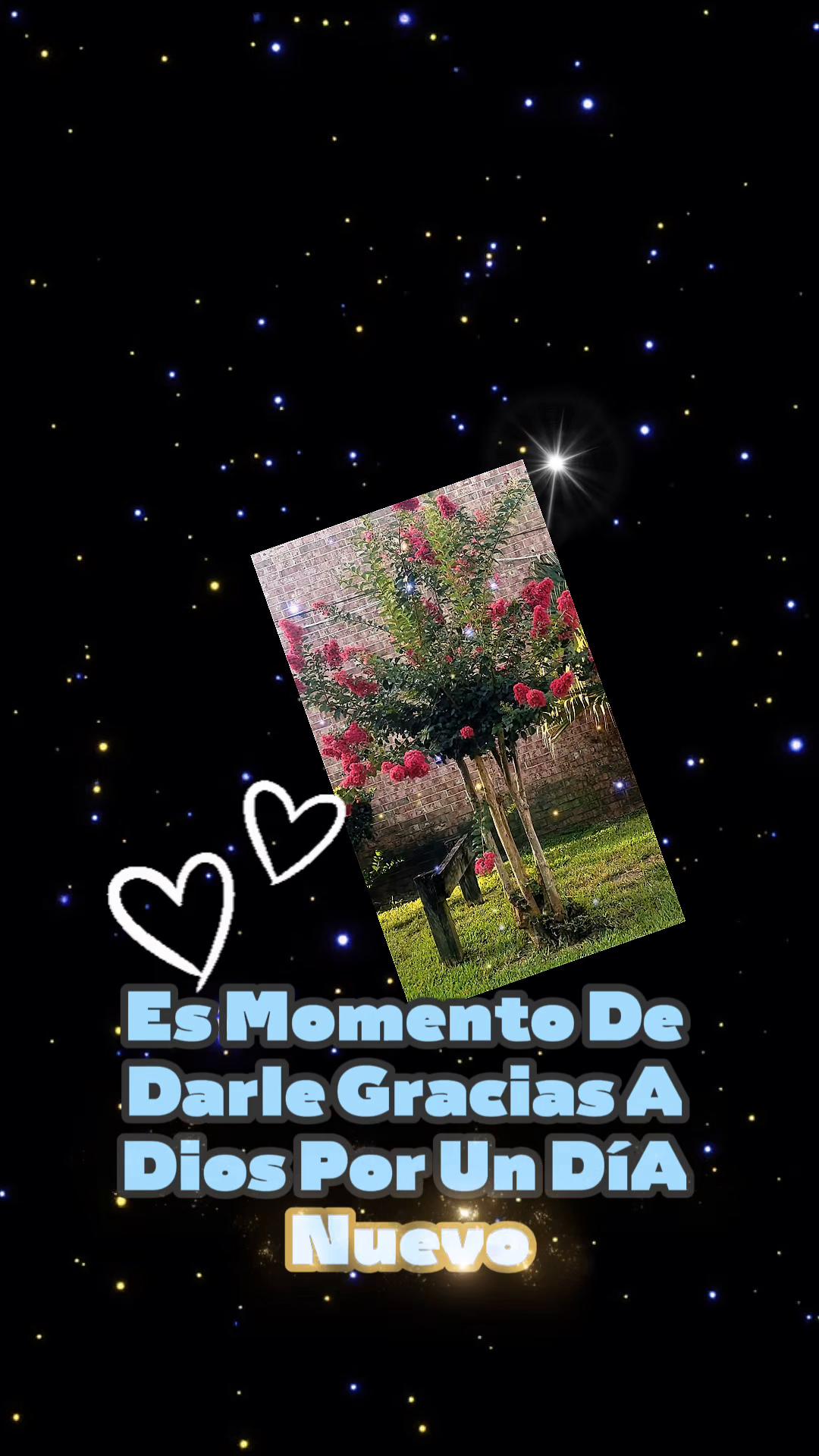 @🙌🏻🦋Sandra🙌🏻🦋