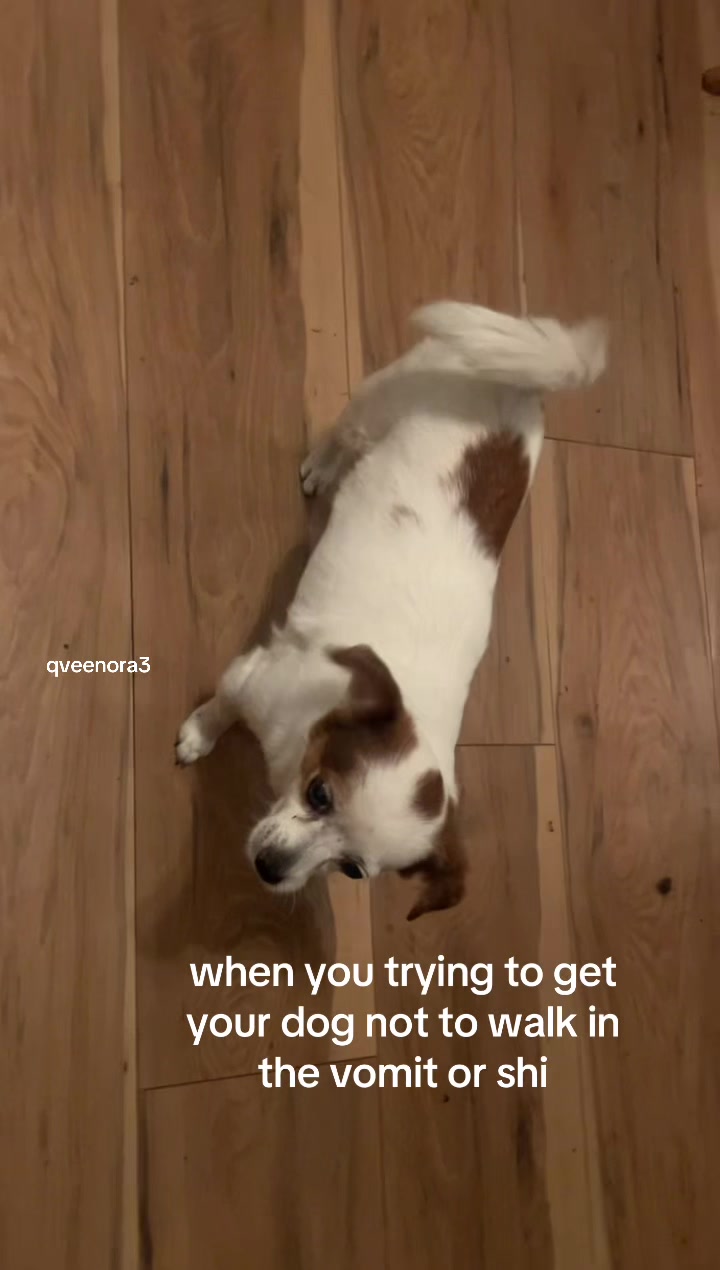 @𝗡𝗼𝗿𝗮
