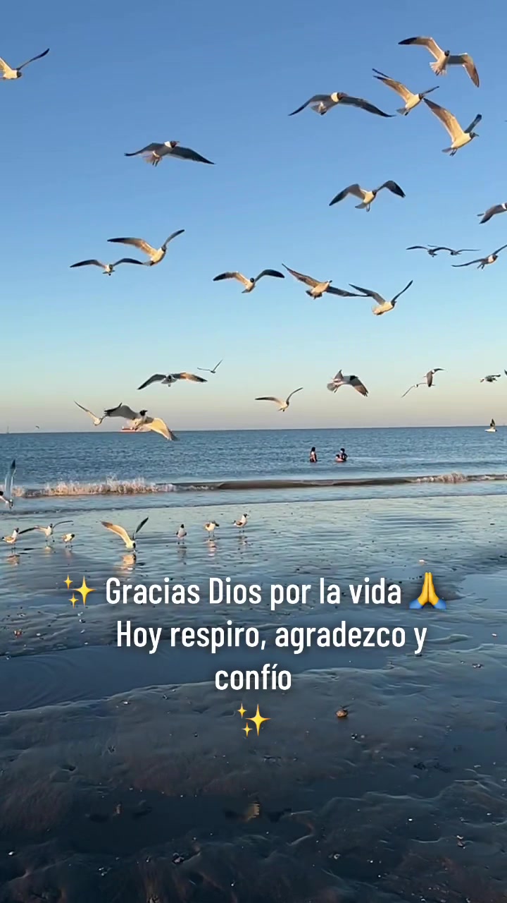 @Lucy Cruz