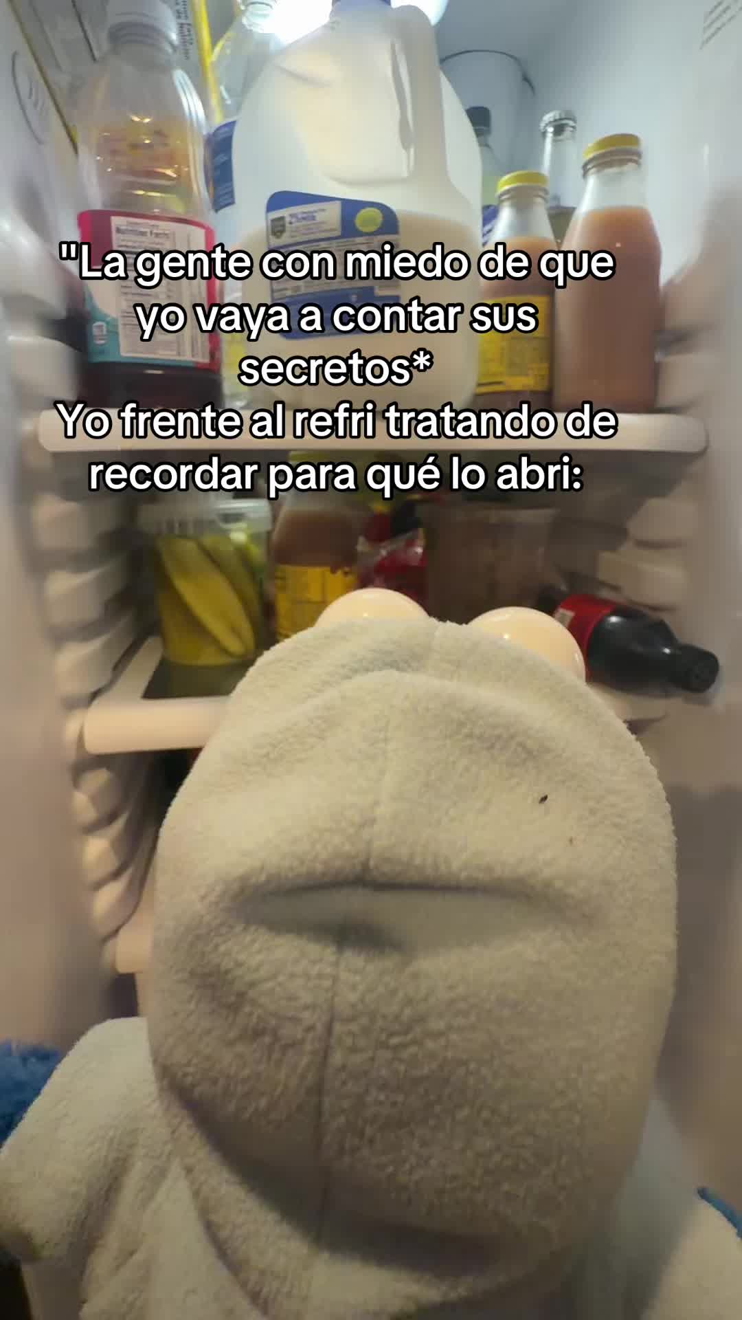 @puppetshowvideo