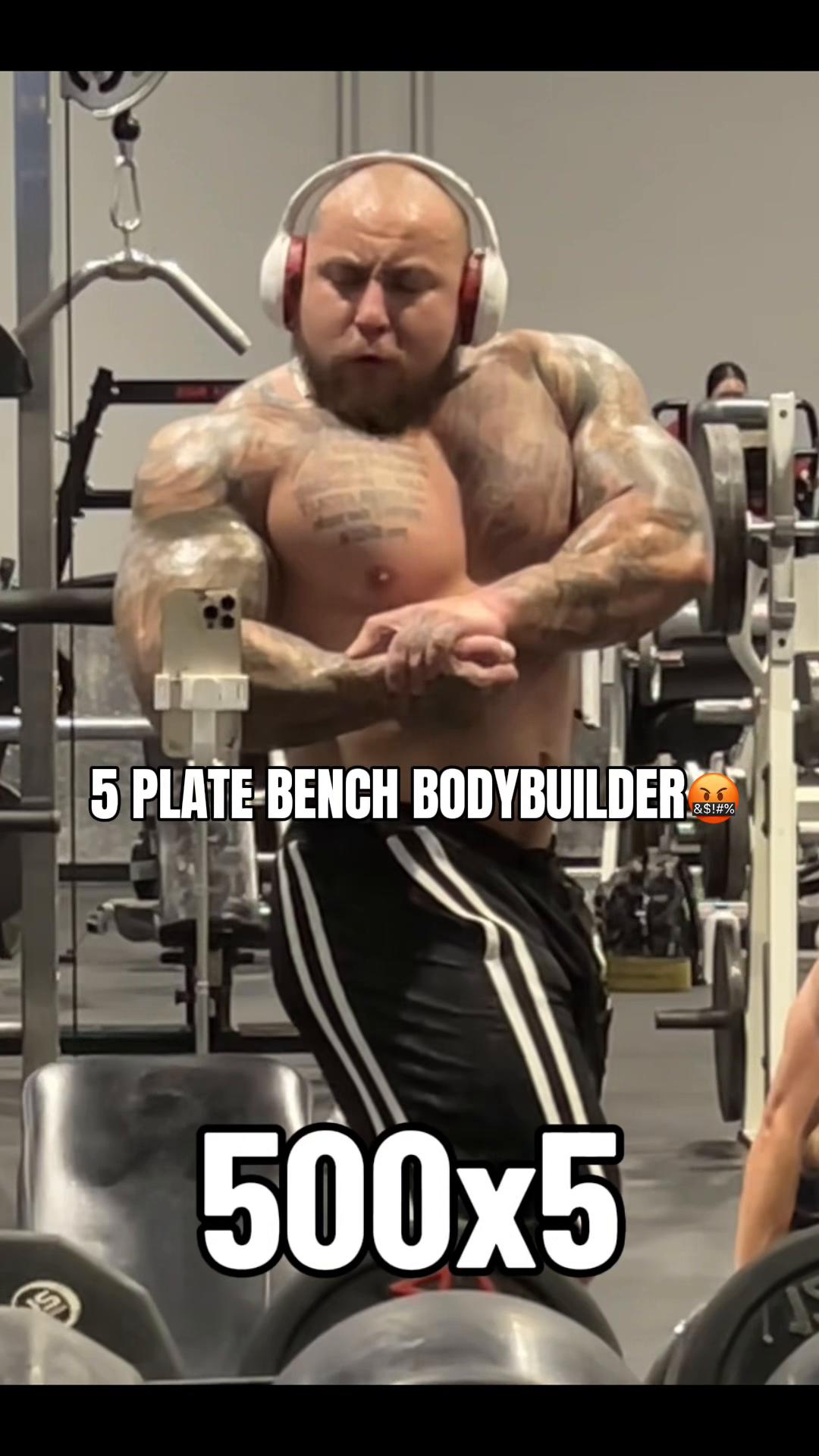 @GORILLA QUINN 🦍🇺🇸