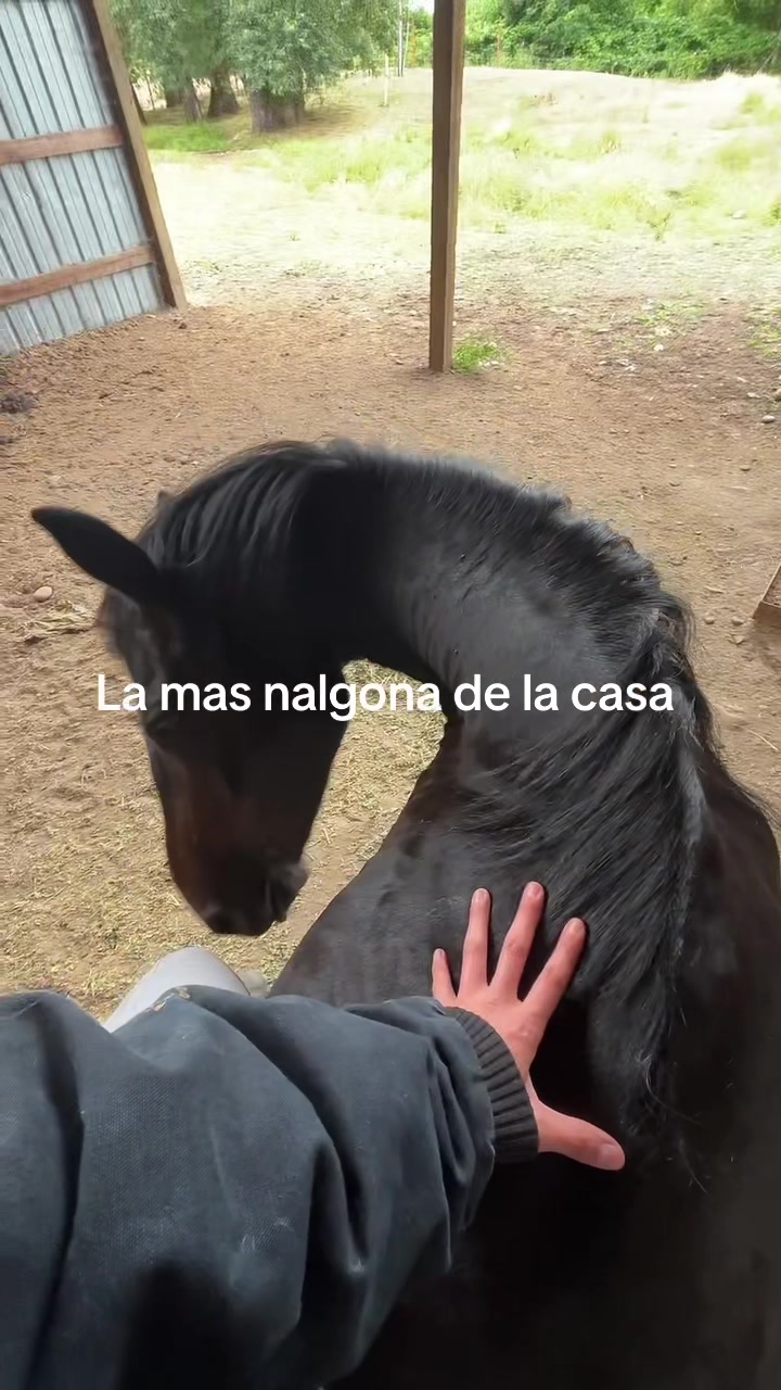 @Viv
