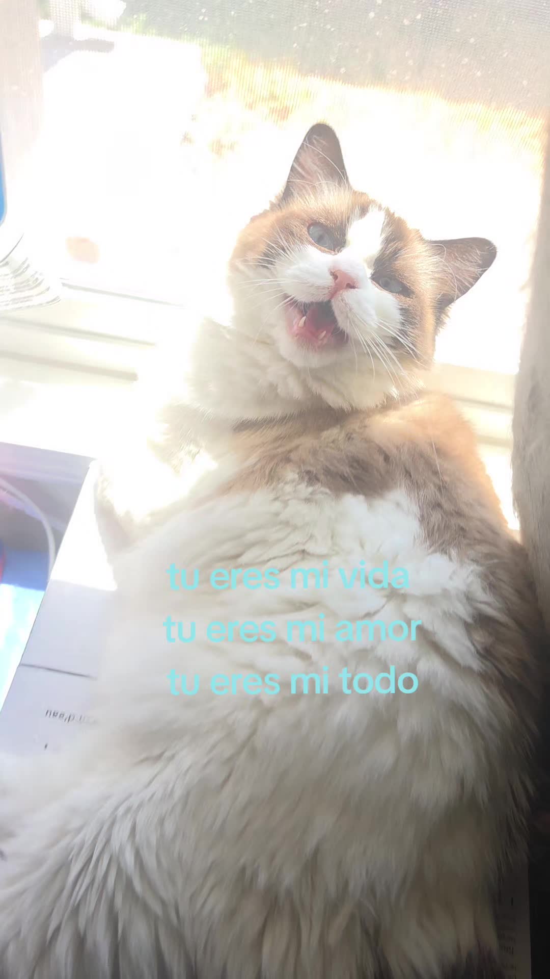 @🦦