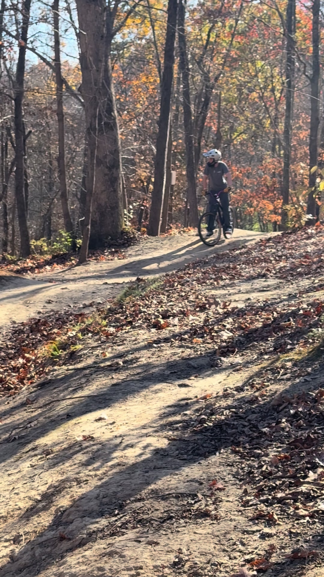 @🛹JAX🚲