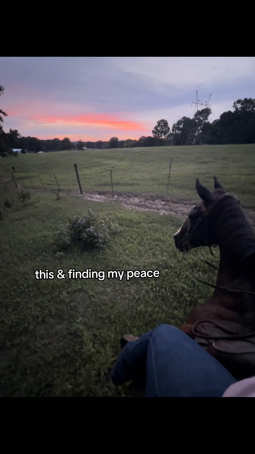 @sevenguffey