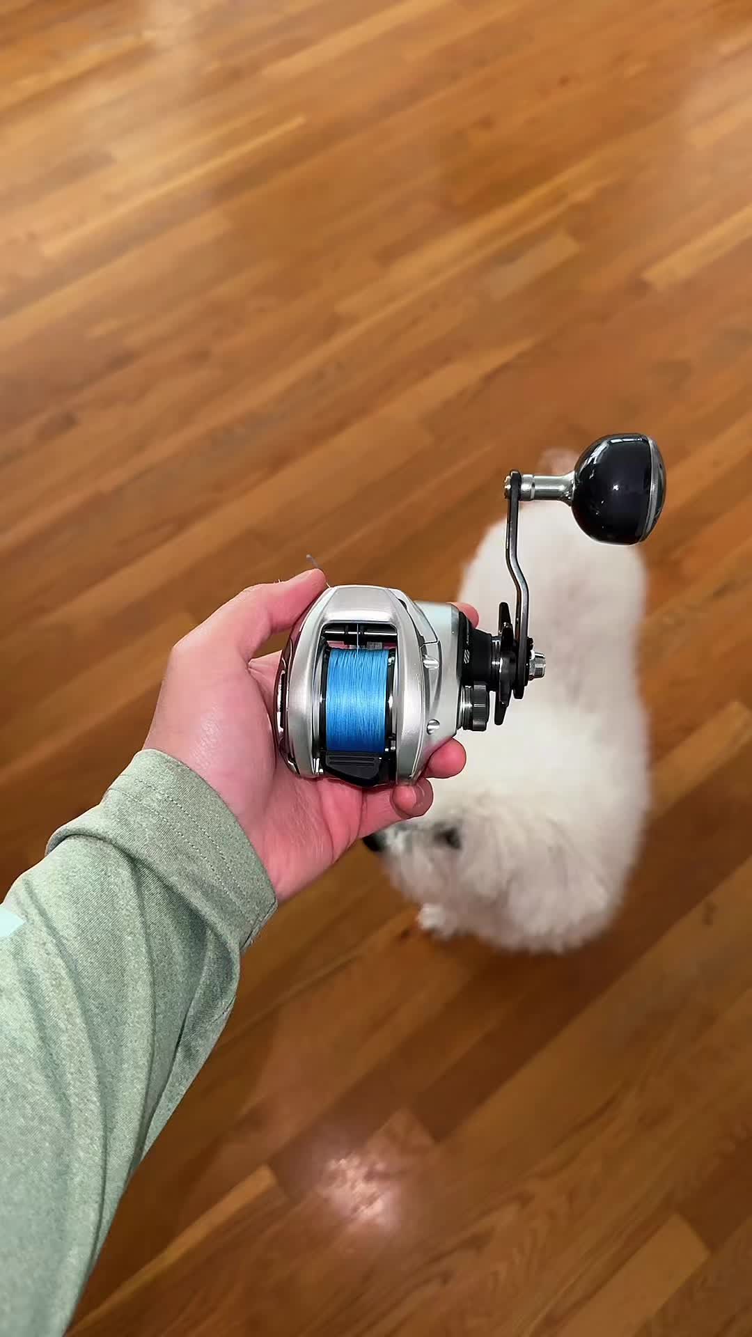 @Kevin - TheOutdoorCollection