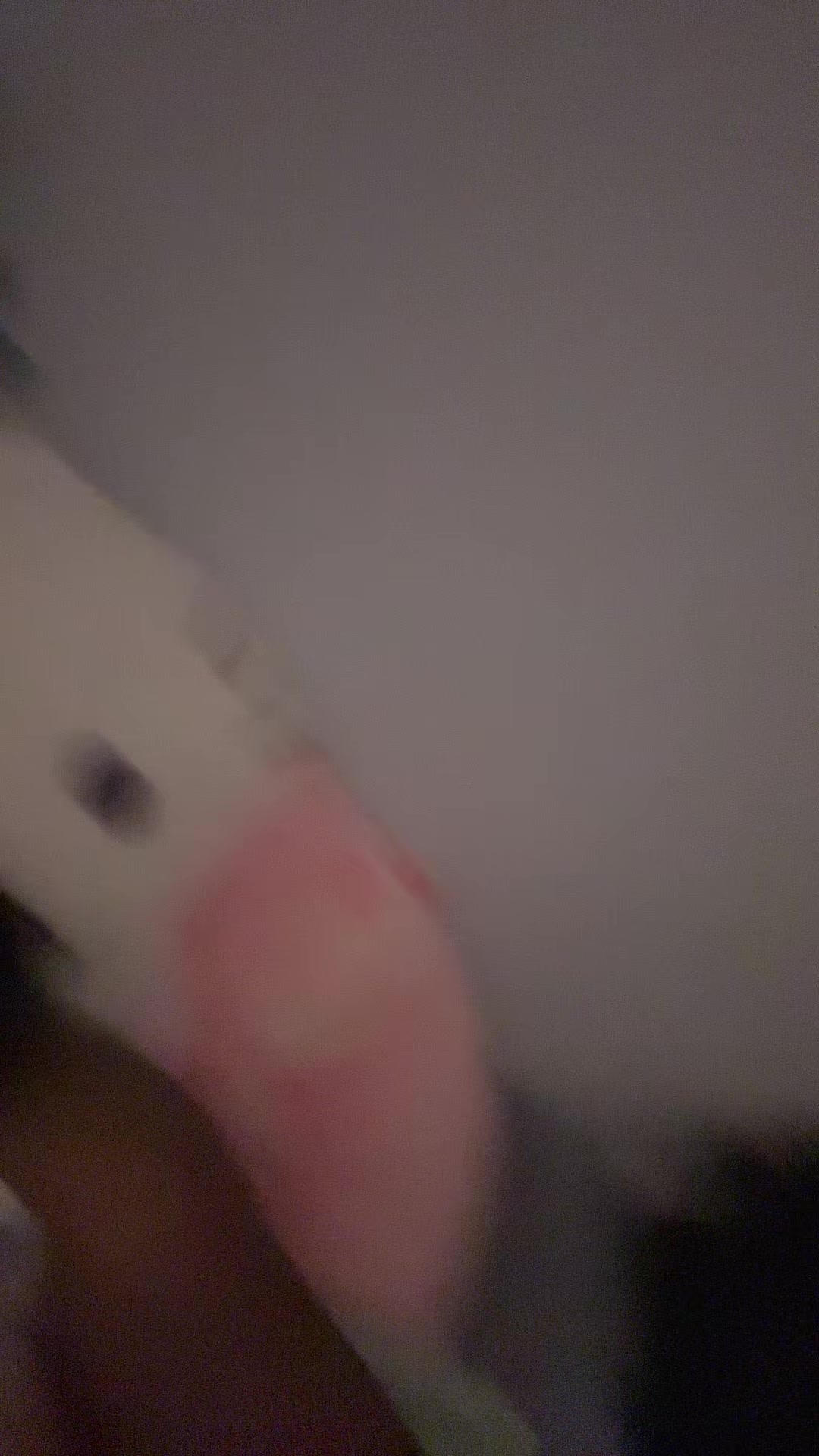 @mileysenpai