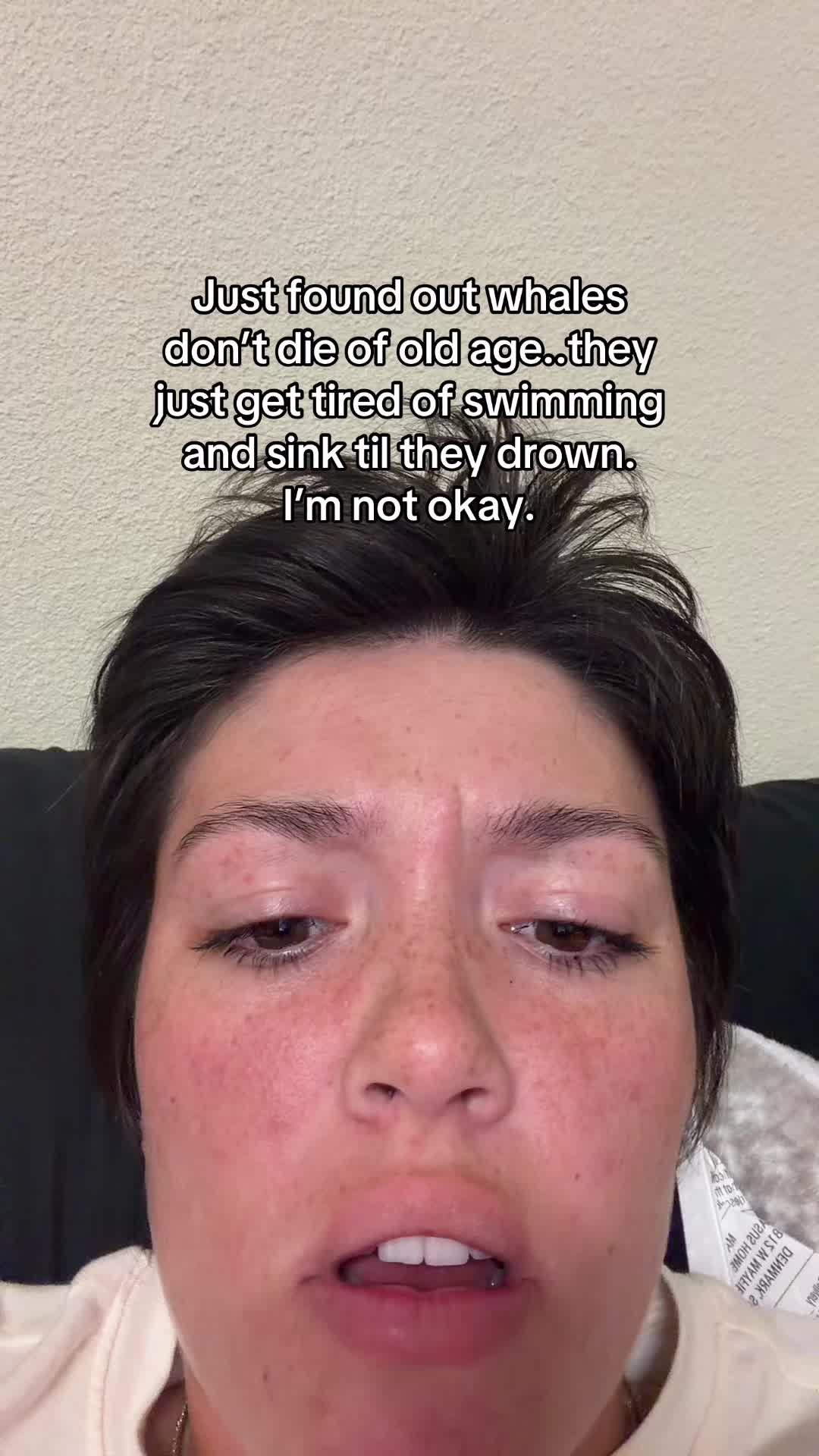 @shaebae<3