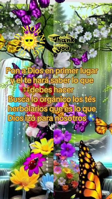 @Dee Enloe oficial