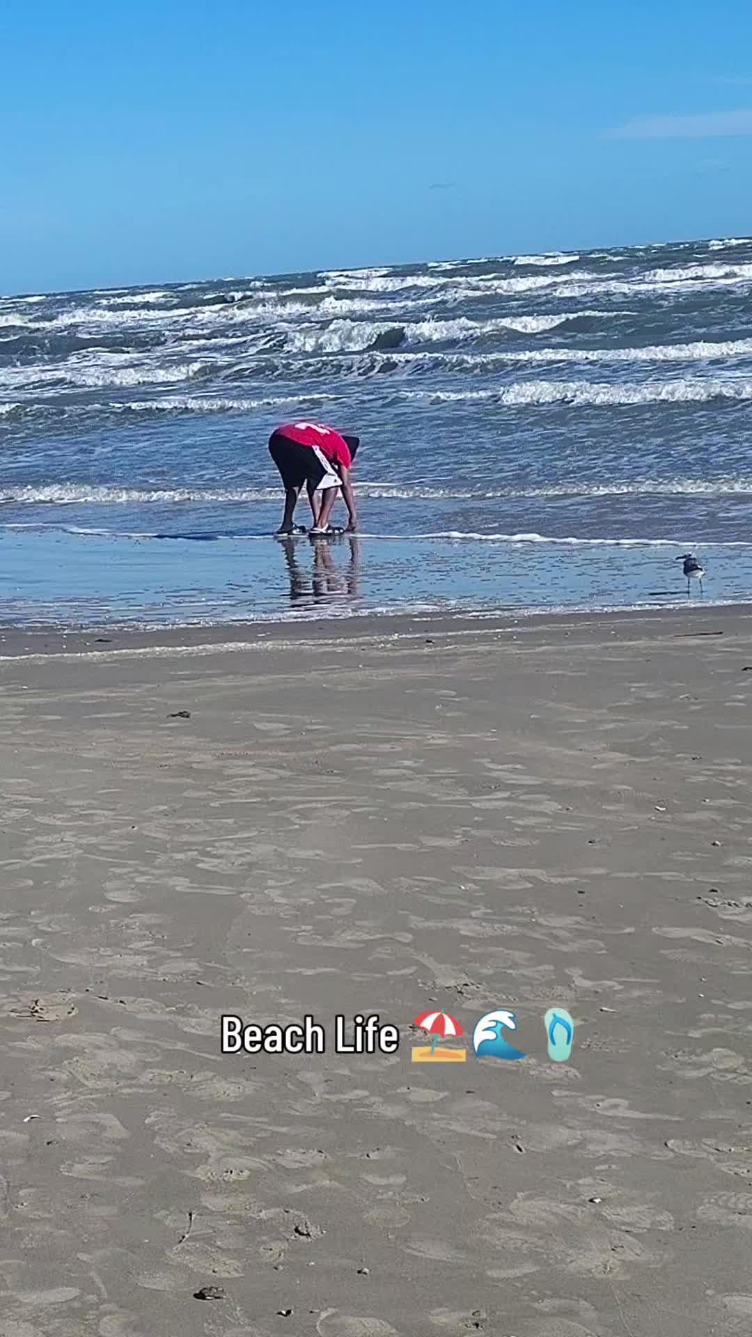 @Him901