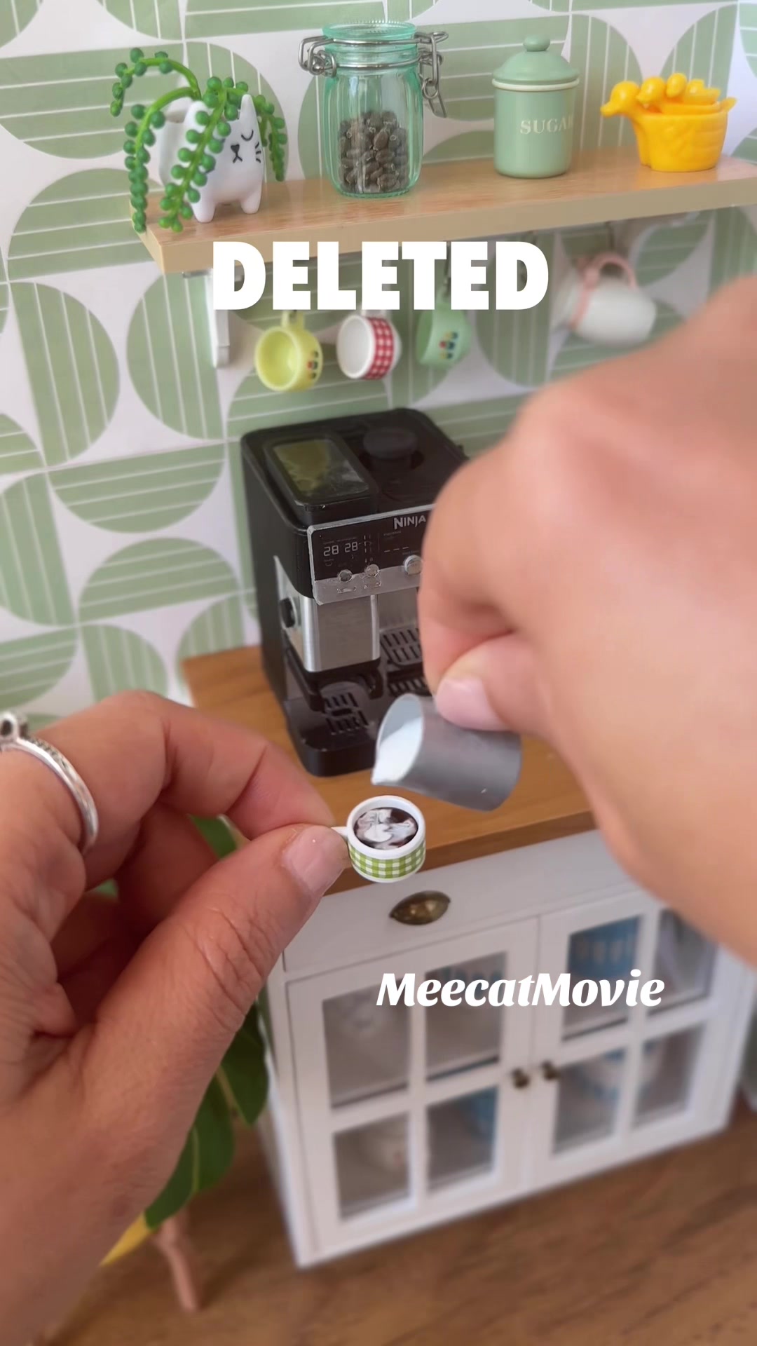 @Meecat