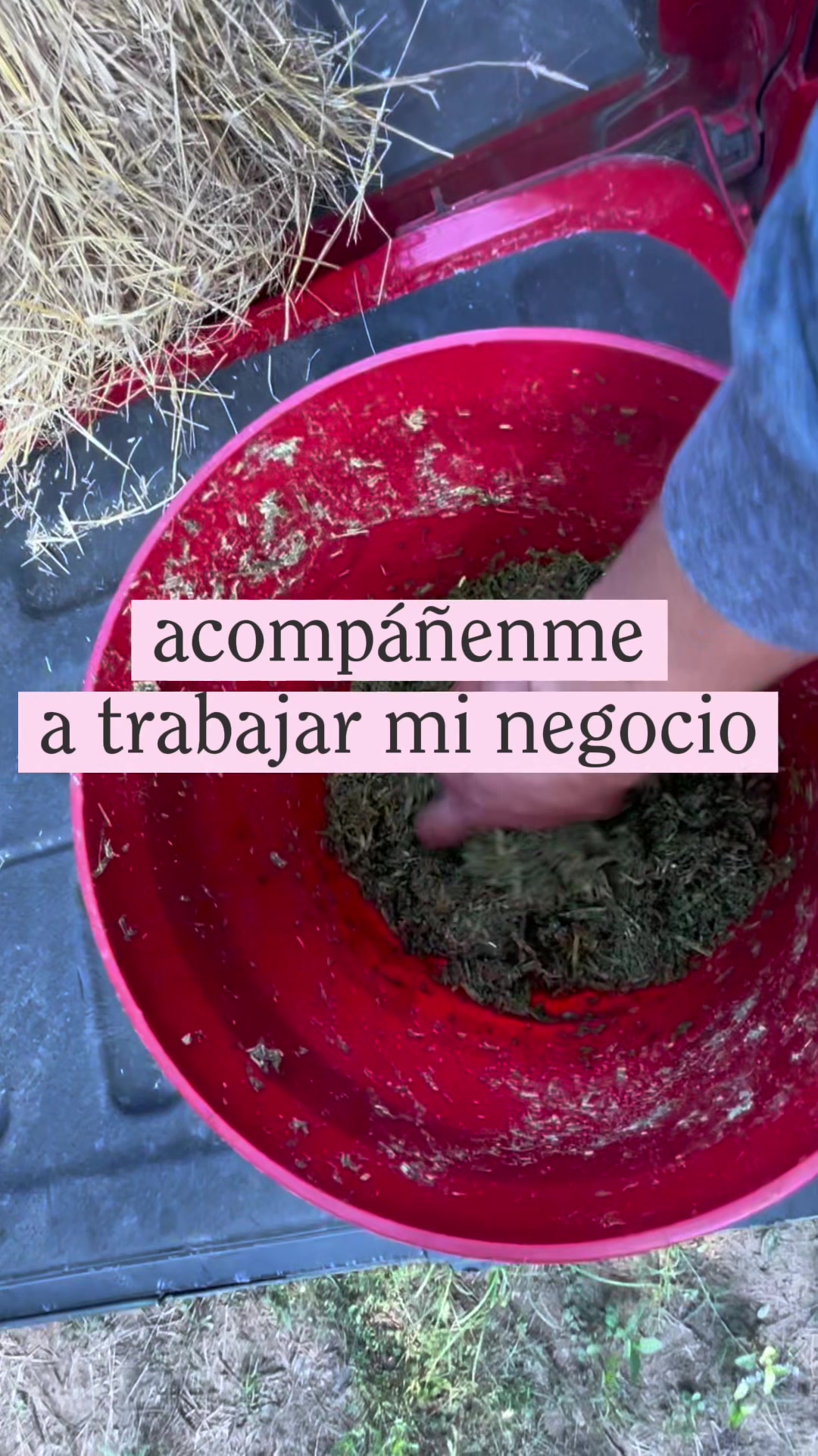 @Angela 💓