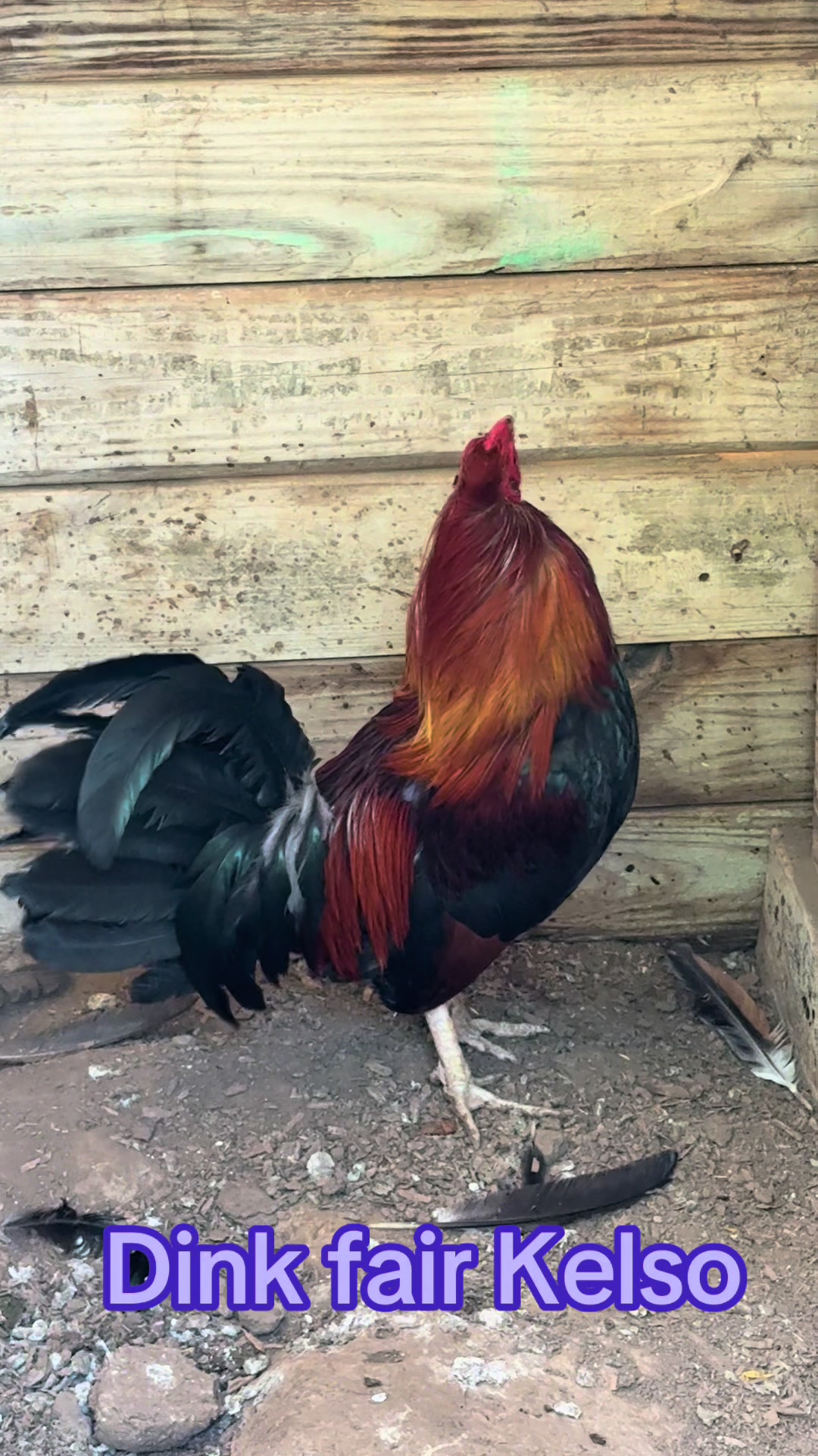 @Bryan Gamefarm