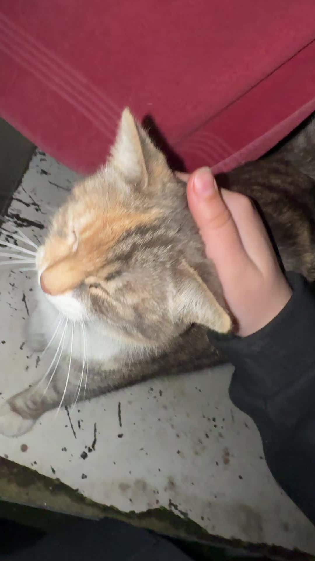 @gsnva