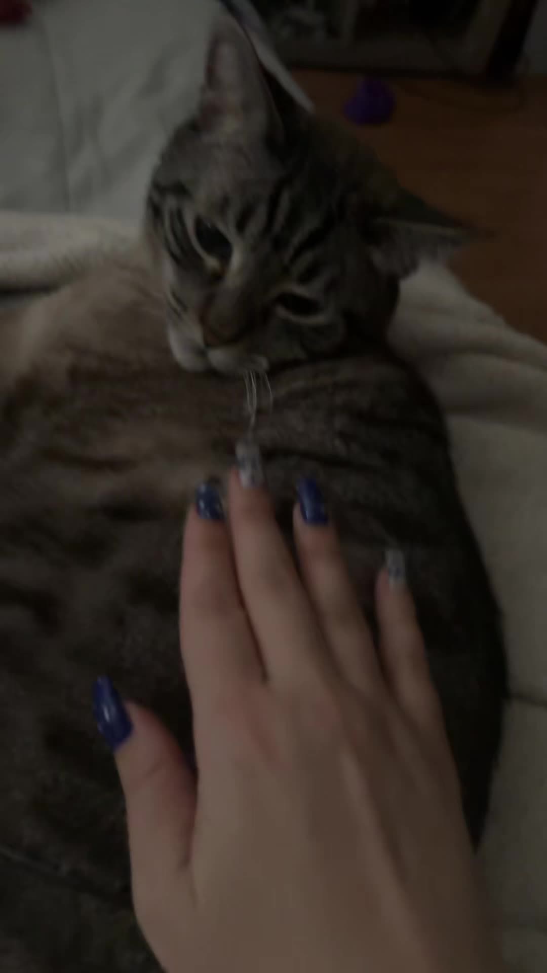 @Helen aka Crazy cat lady