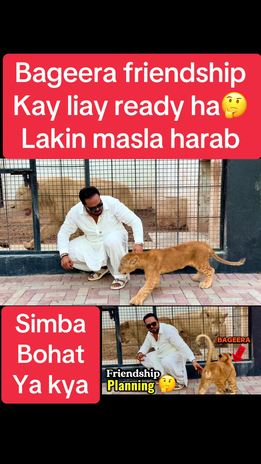 @Mian saqib