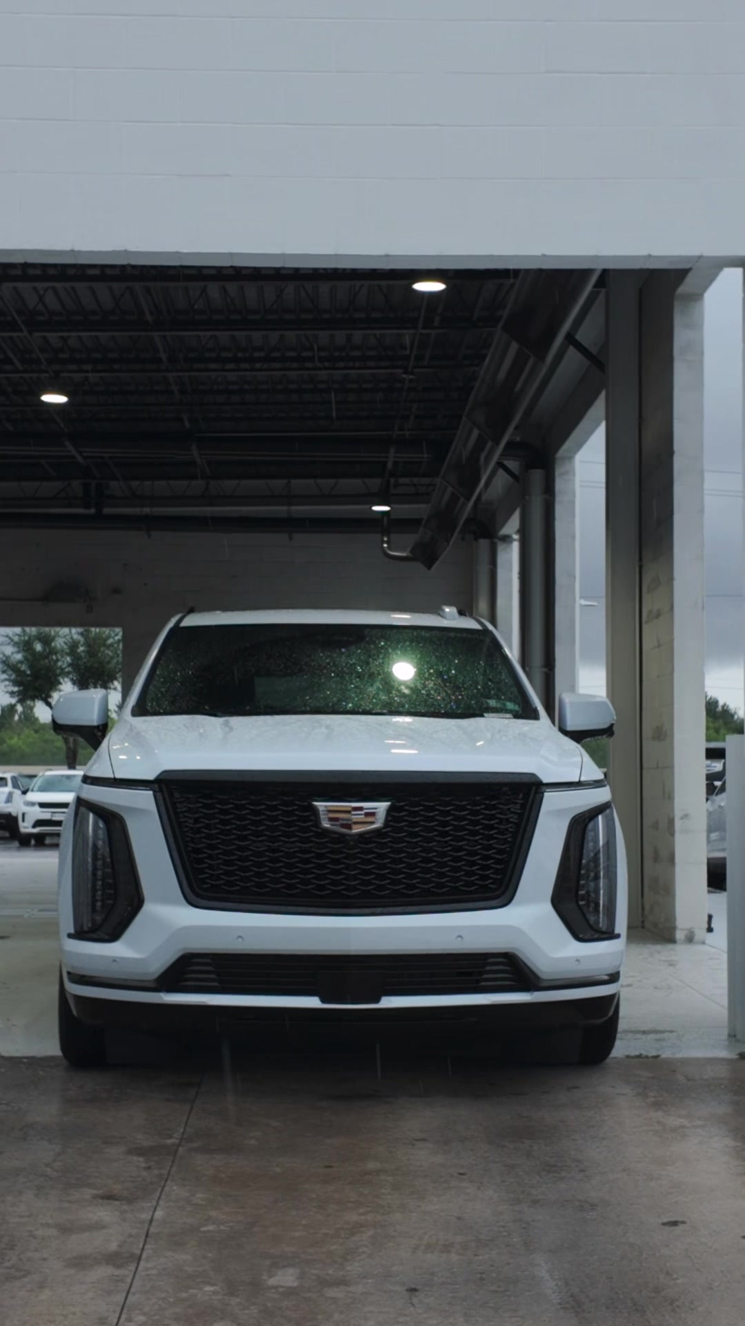 @Cadillac from Ty
