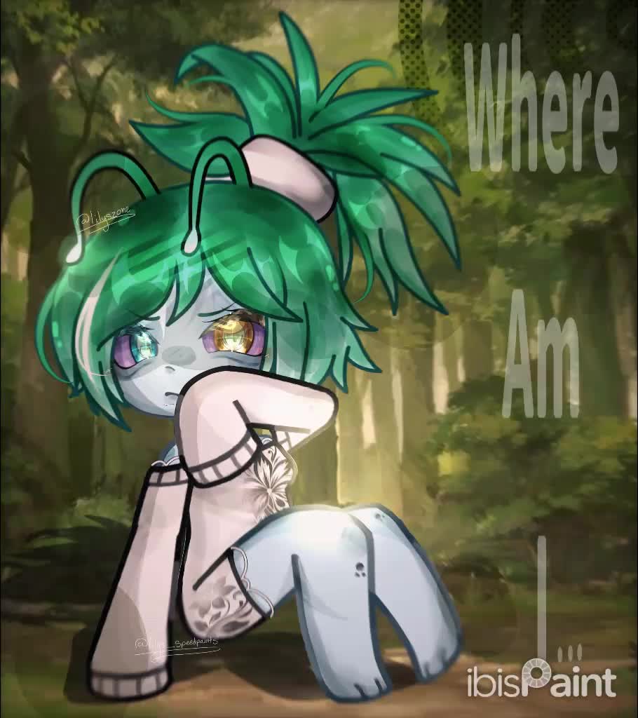 @๐ซ ๐ณ๐๐๐ ! / - ๐พ๐ถ๐ถ+