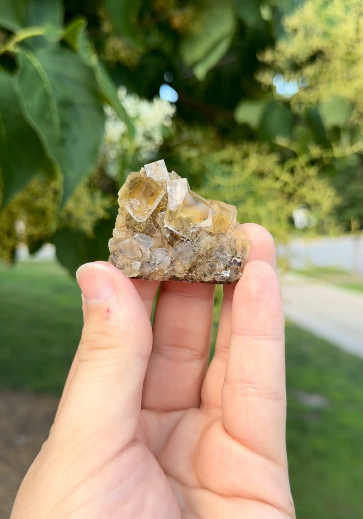 @Minerals by Blake