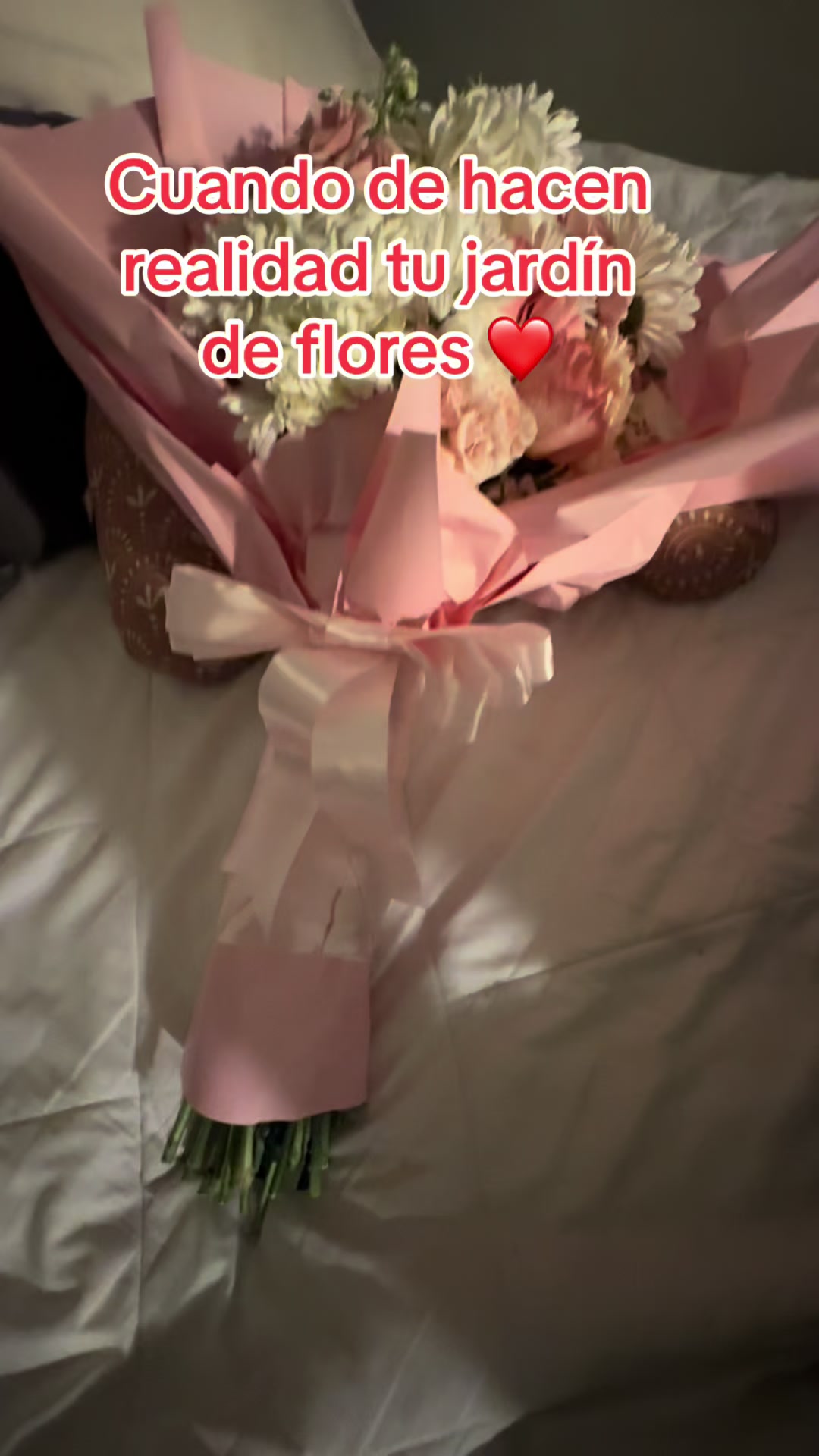 @Ria