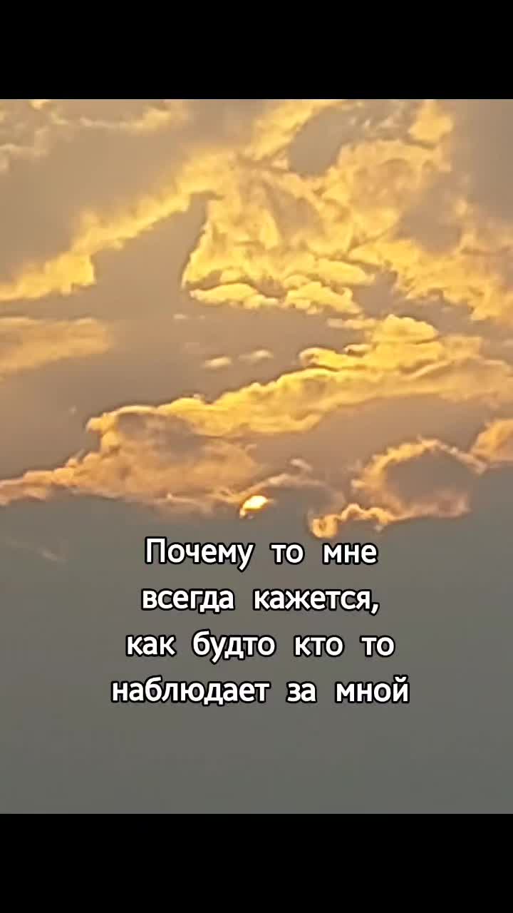 @neela179