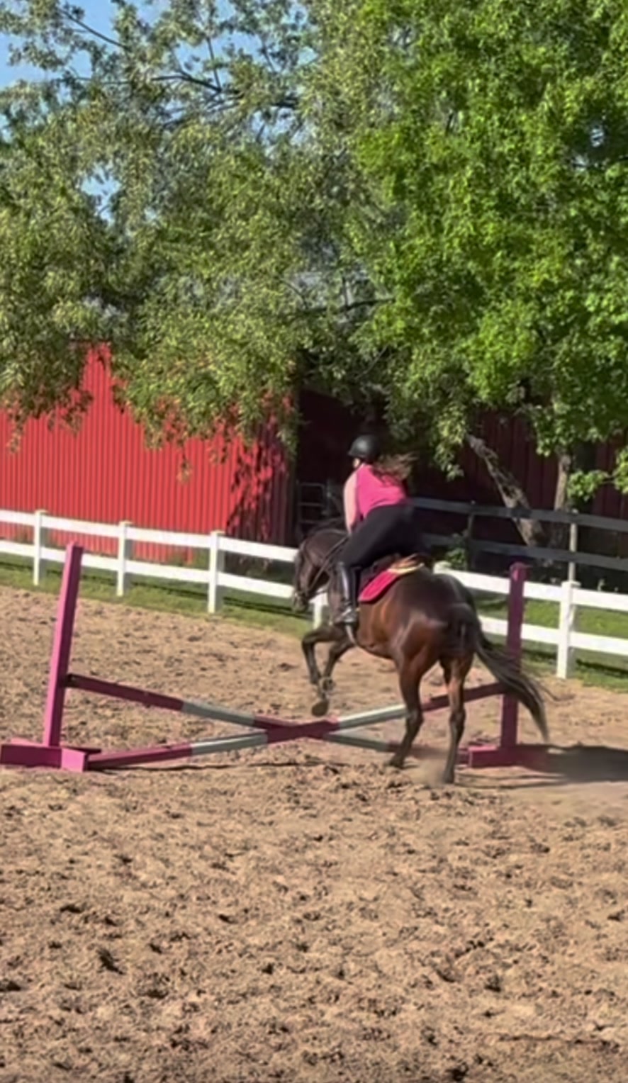 @ella_eqacc