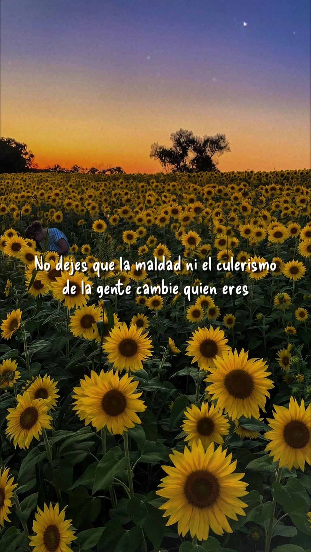 @Cristy Garcia