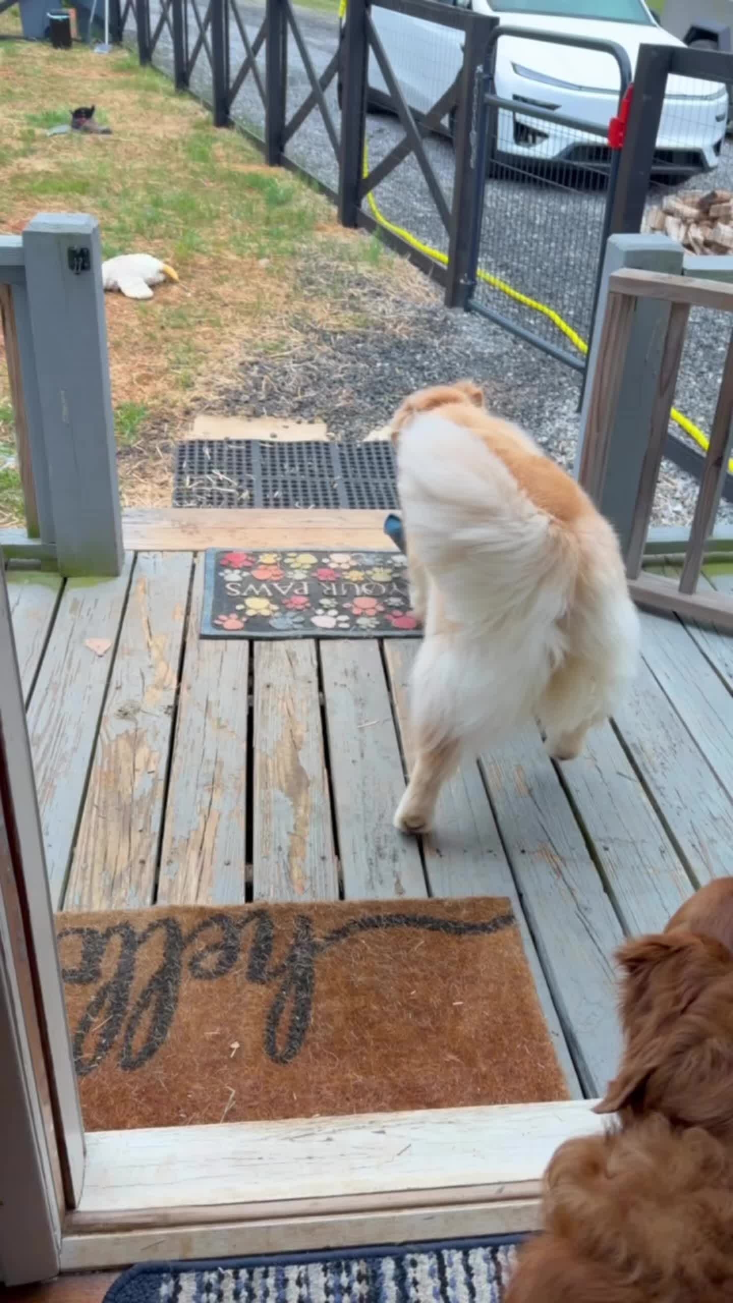 @DogMomisms