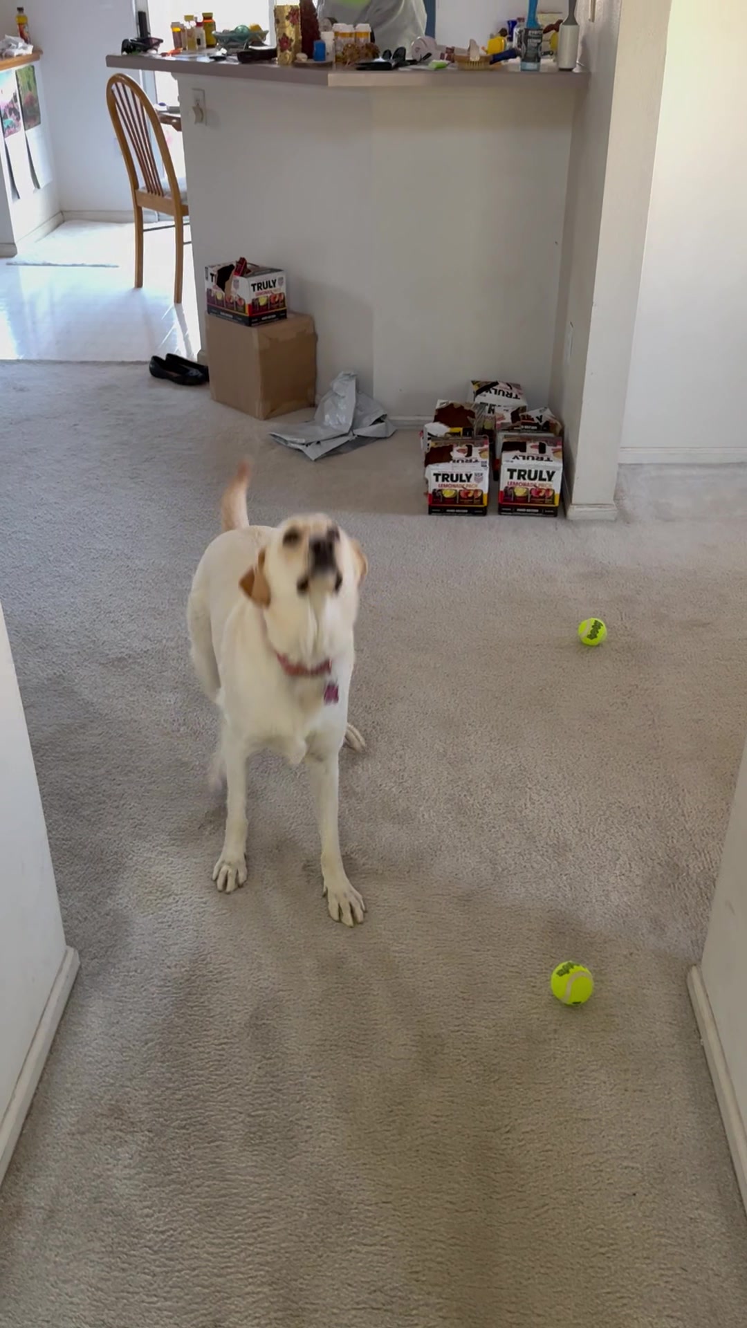 @Chris Conard(ConArdist)