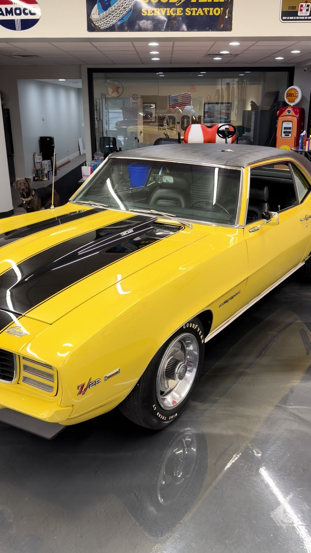 @Mr. Auto Body