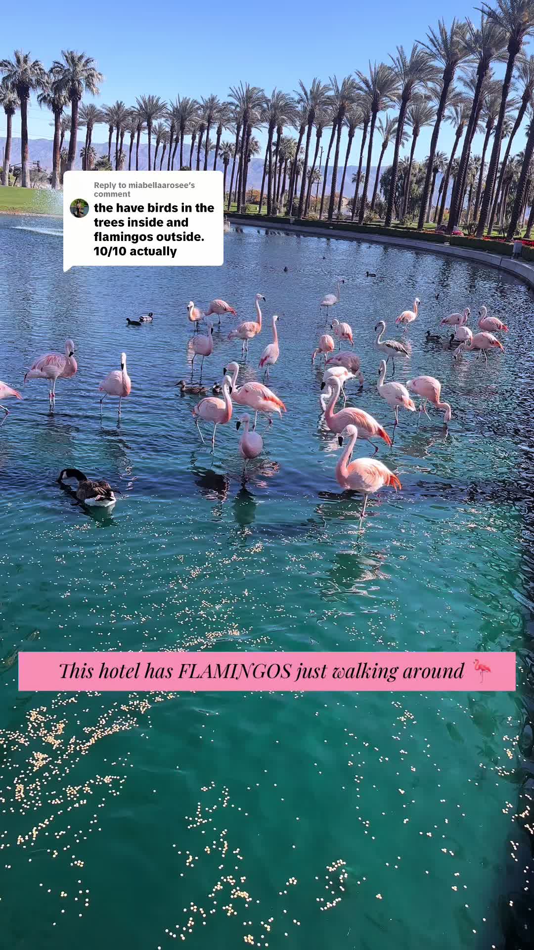 @NatureCallsMeHome Travel Deals
